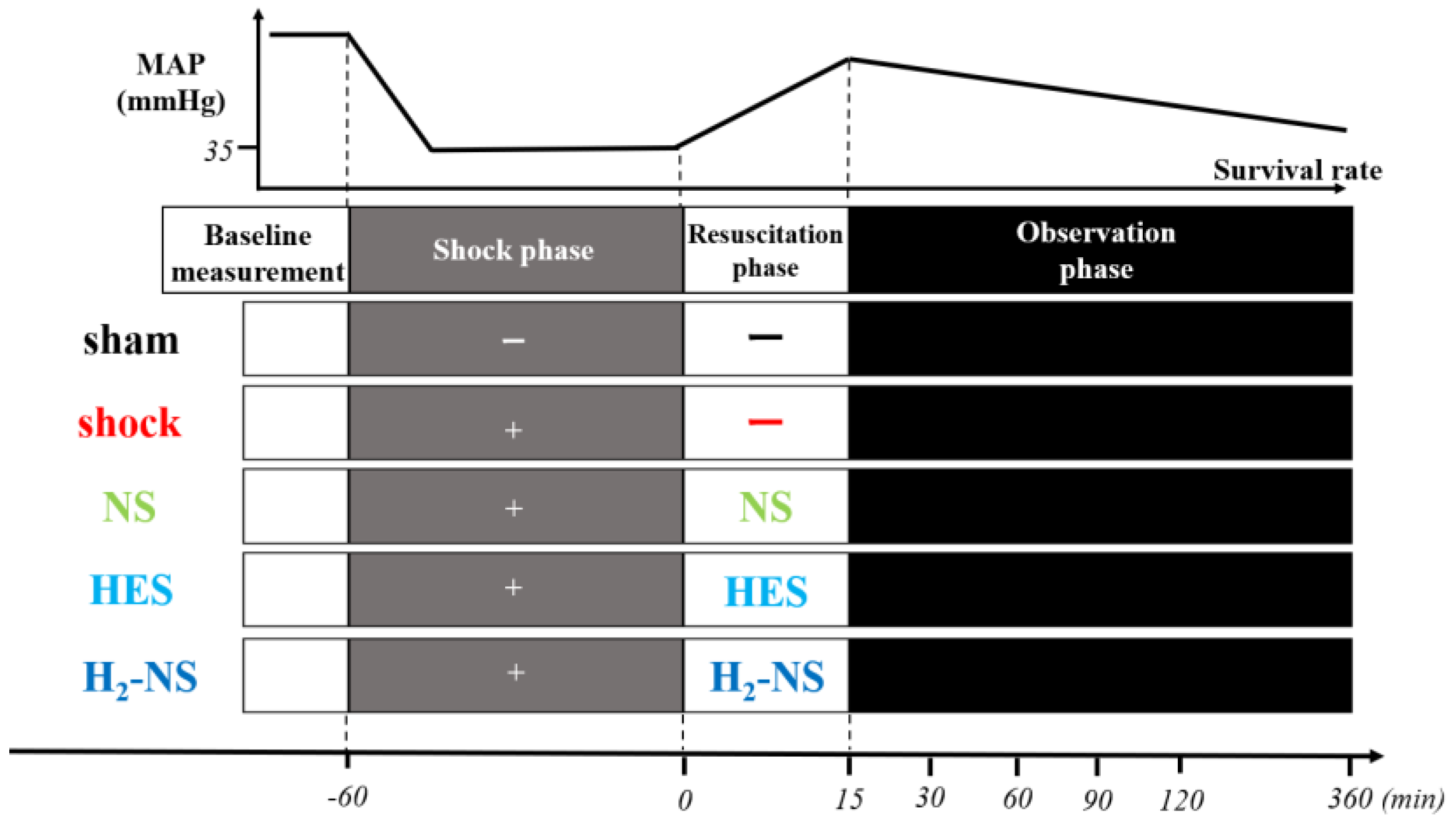 Biomedicines 13 00833 g001