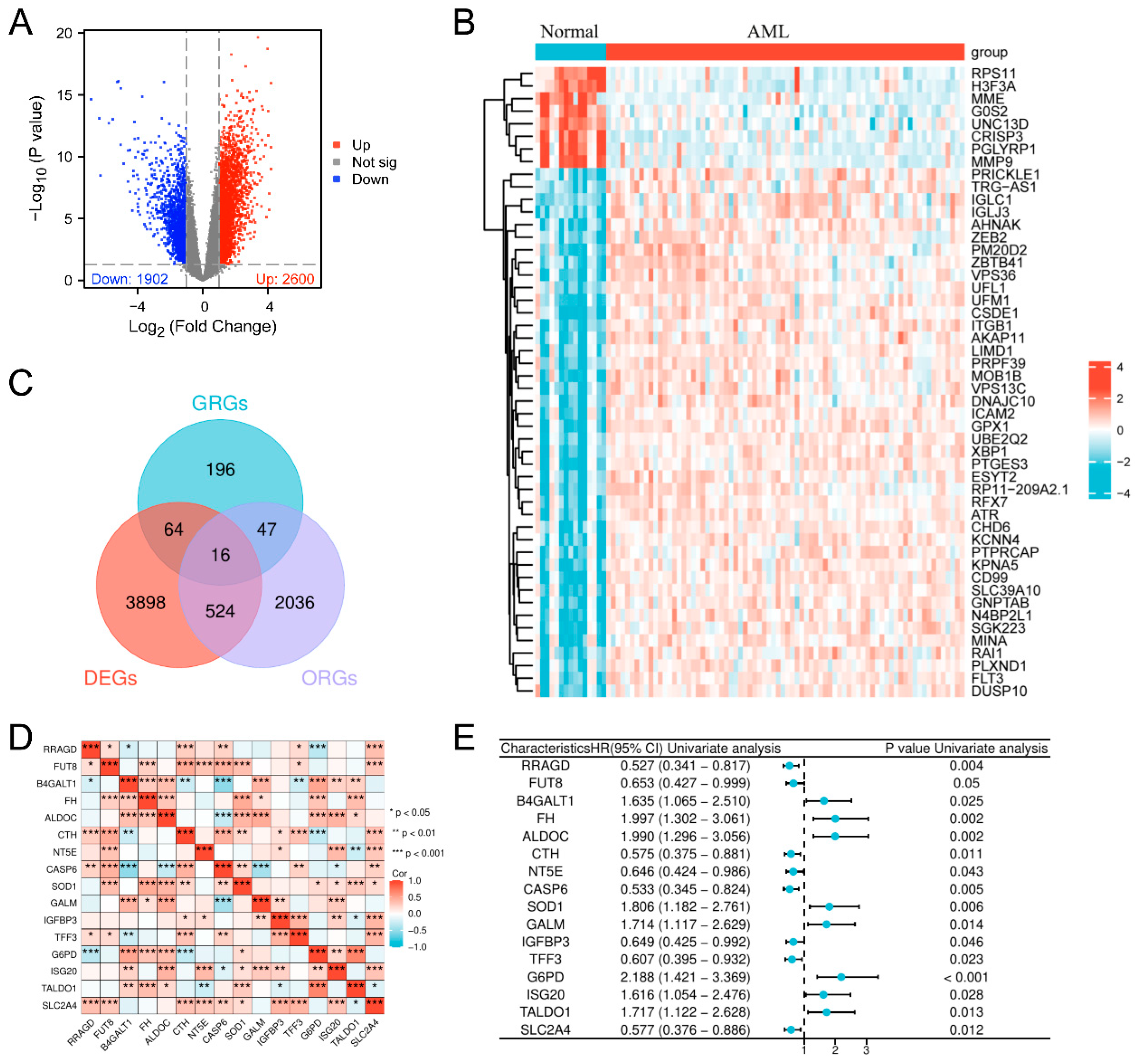 Biomedicines 13 00834 g002