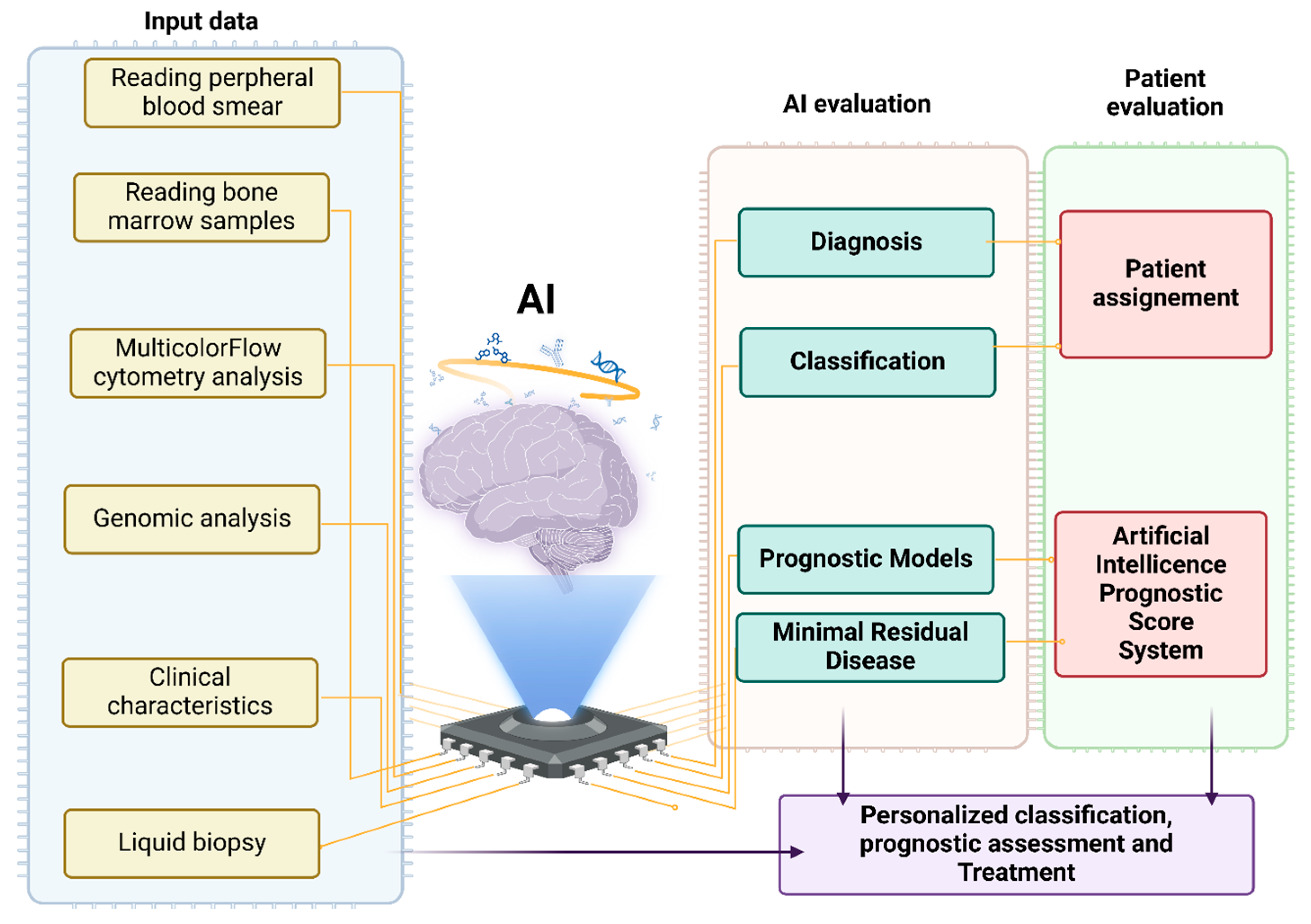 Biomedicines 13 00835 g001