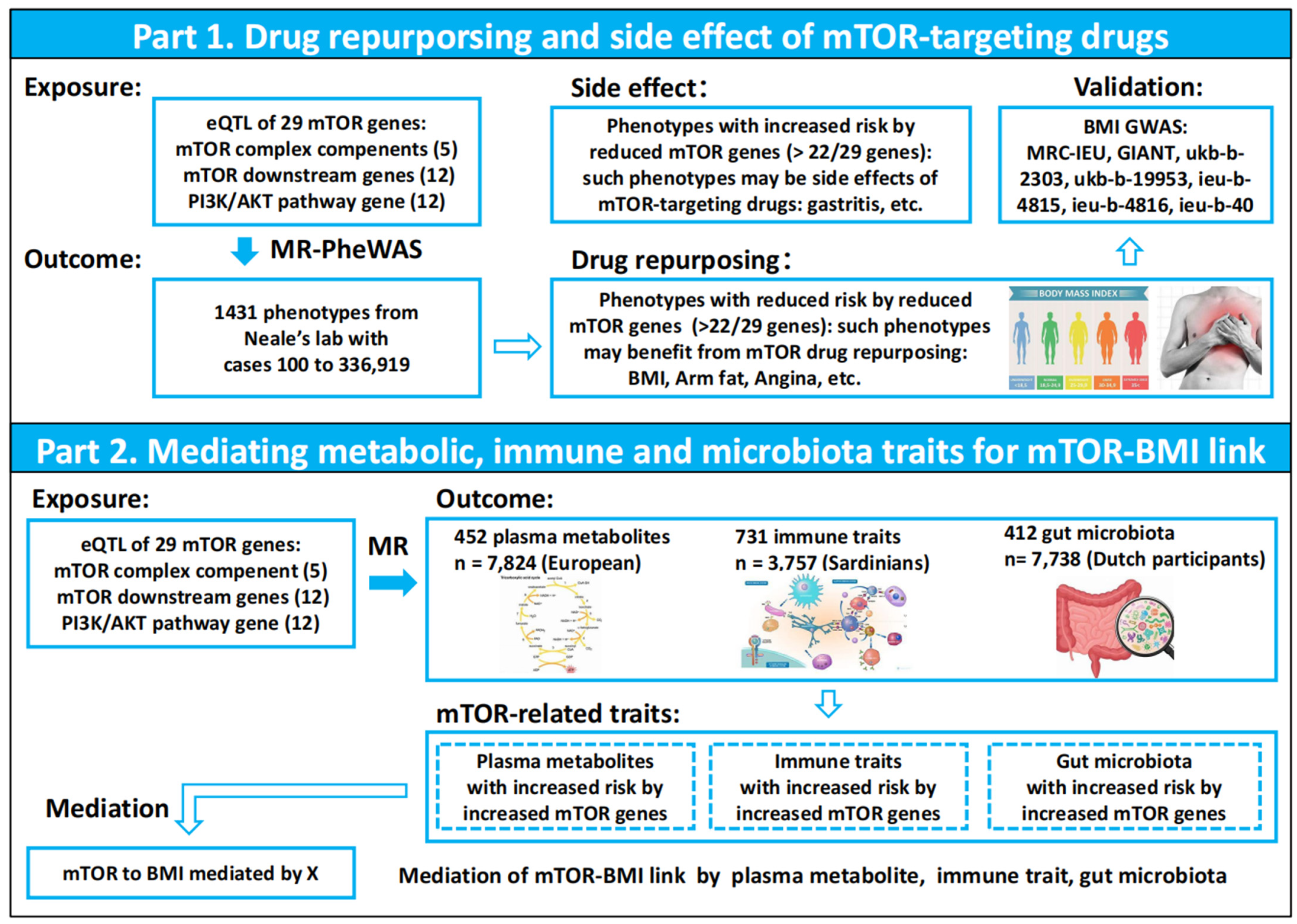 Biomedicines 13 00839 g001