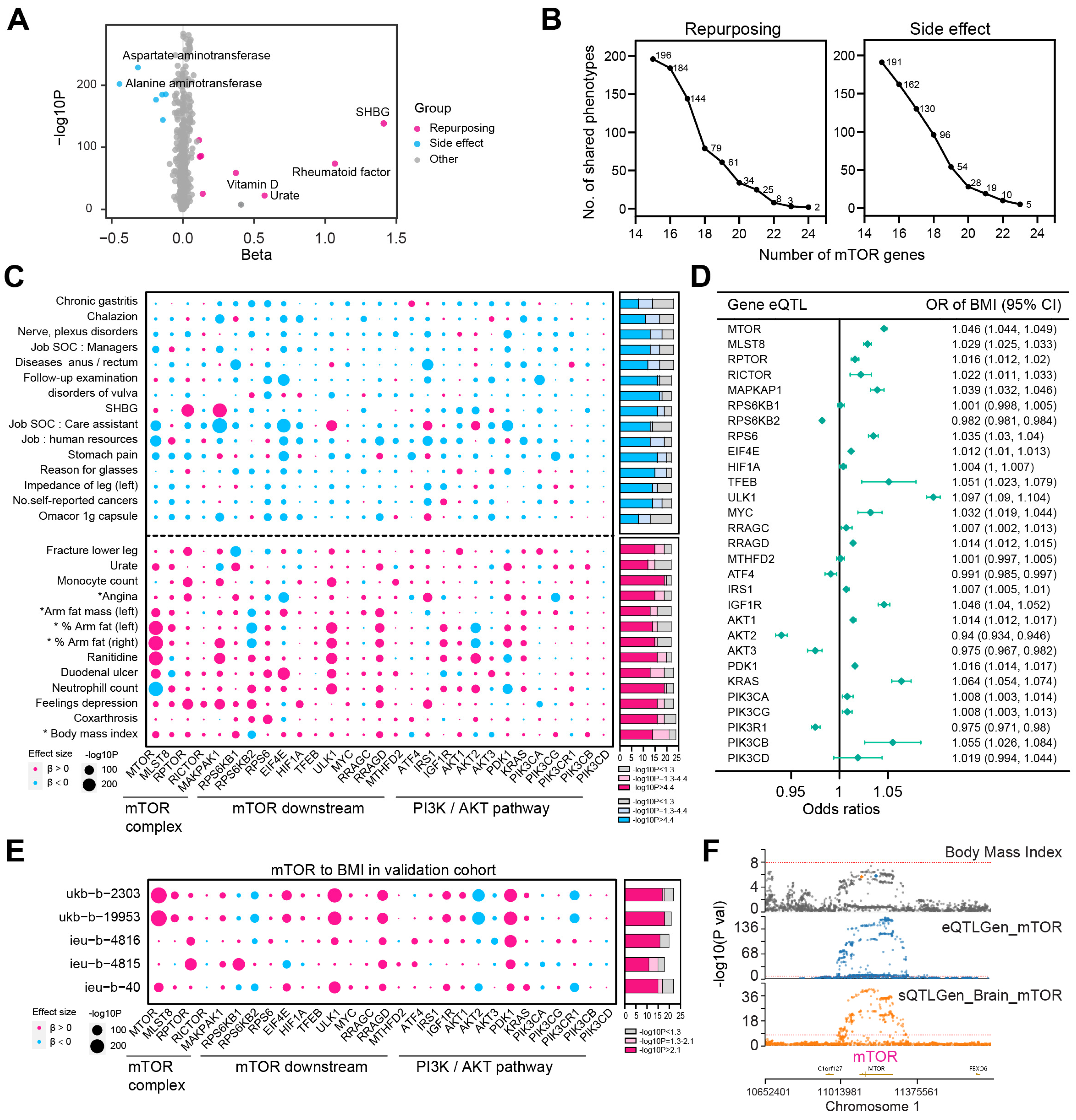Biomedicines 13 00839 g002