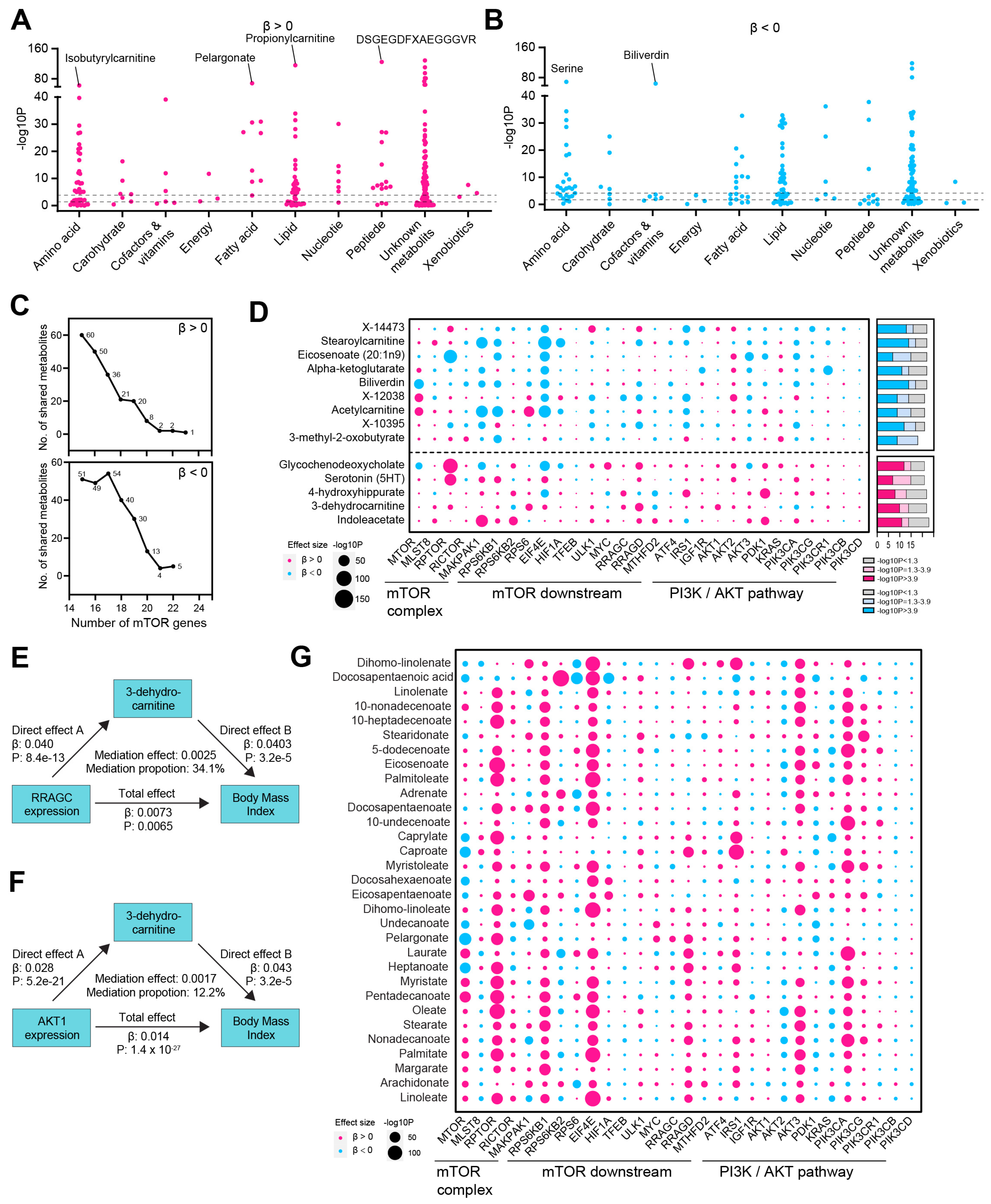 Biomedicines 13 00839 g003