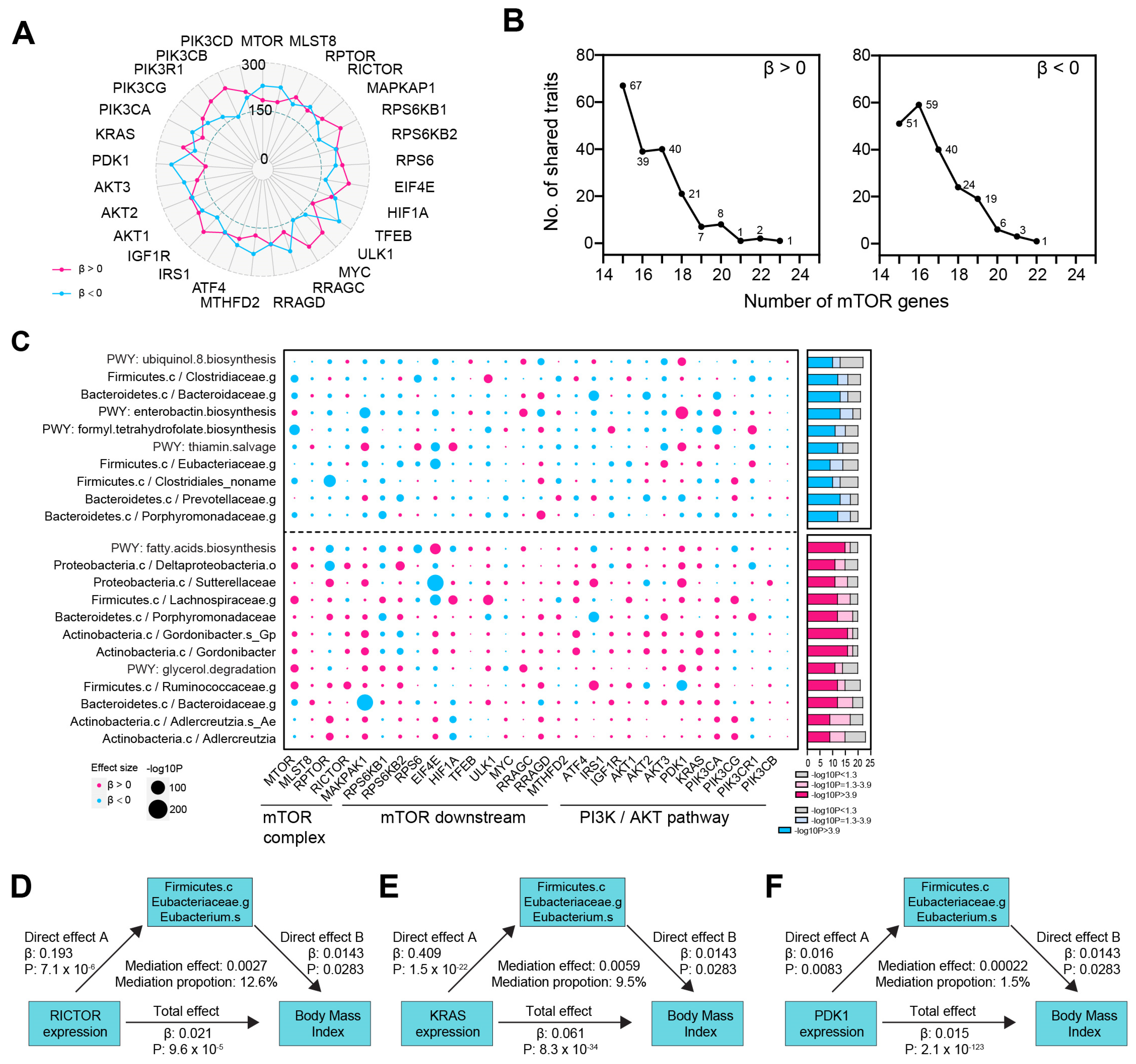 Biomedicines 13 00839 g005