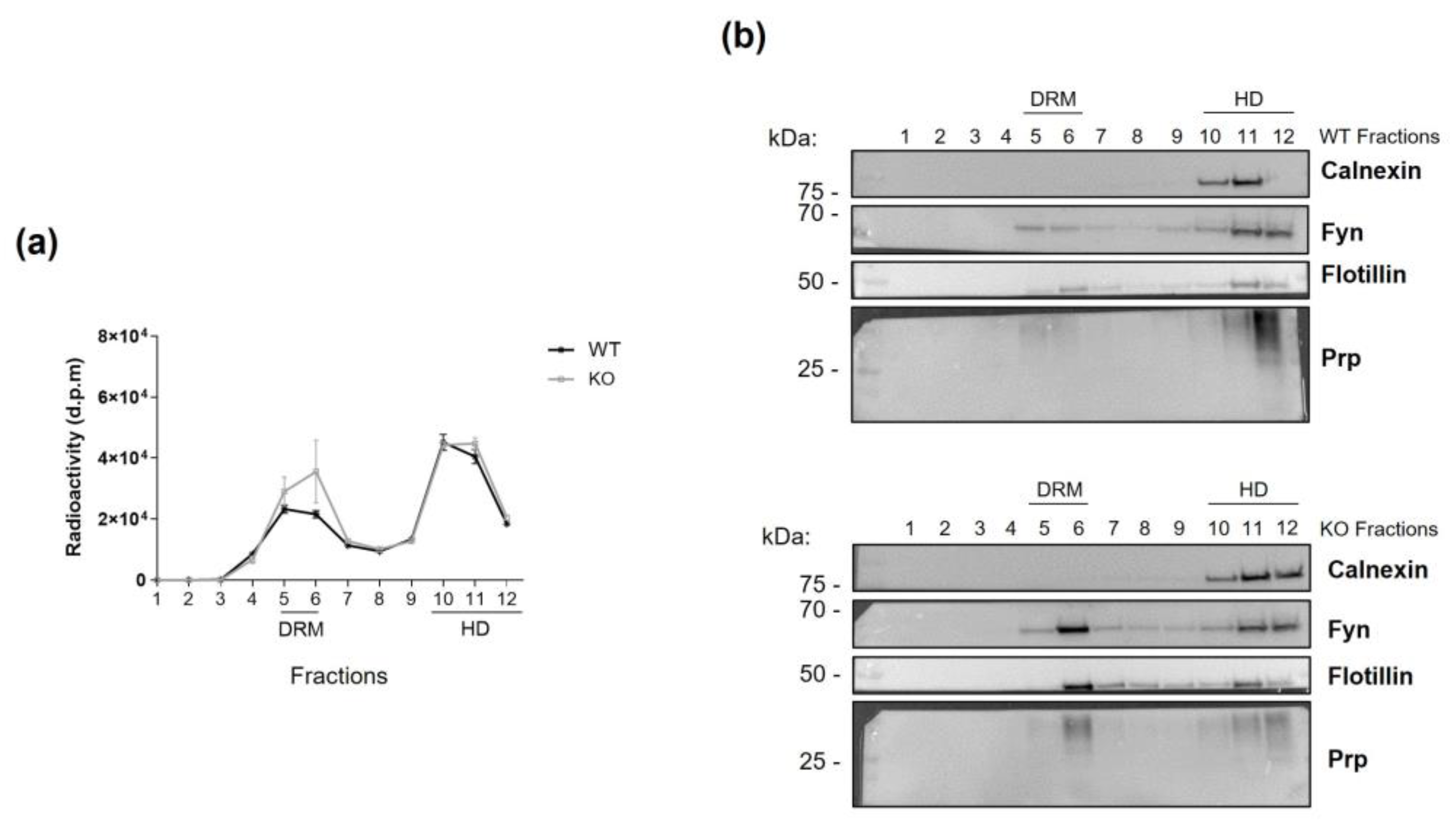Biomedicines 13 00843 g002