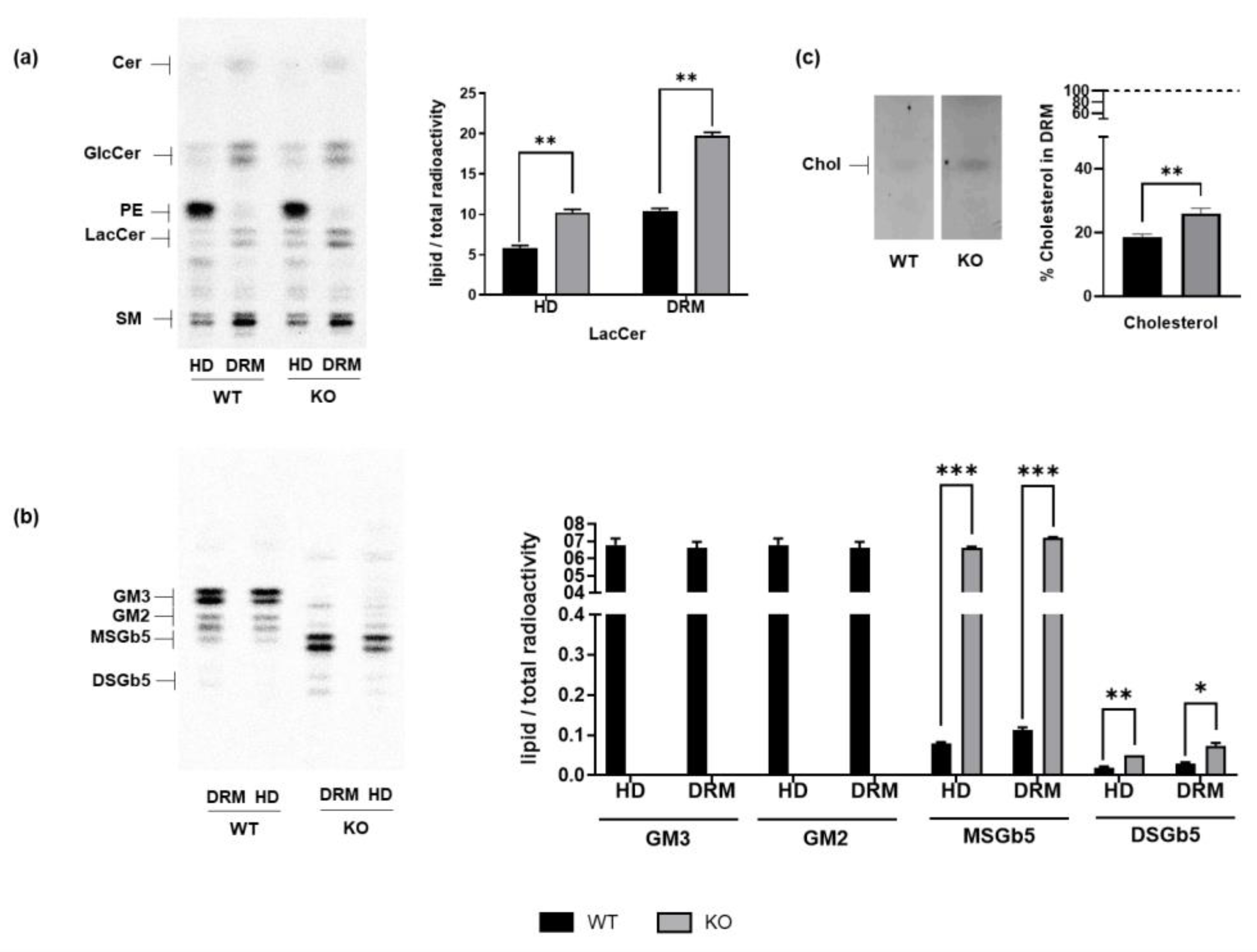Biomedicines 13 00843 g003