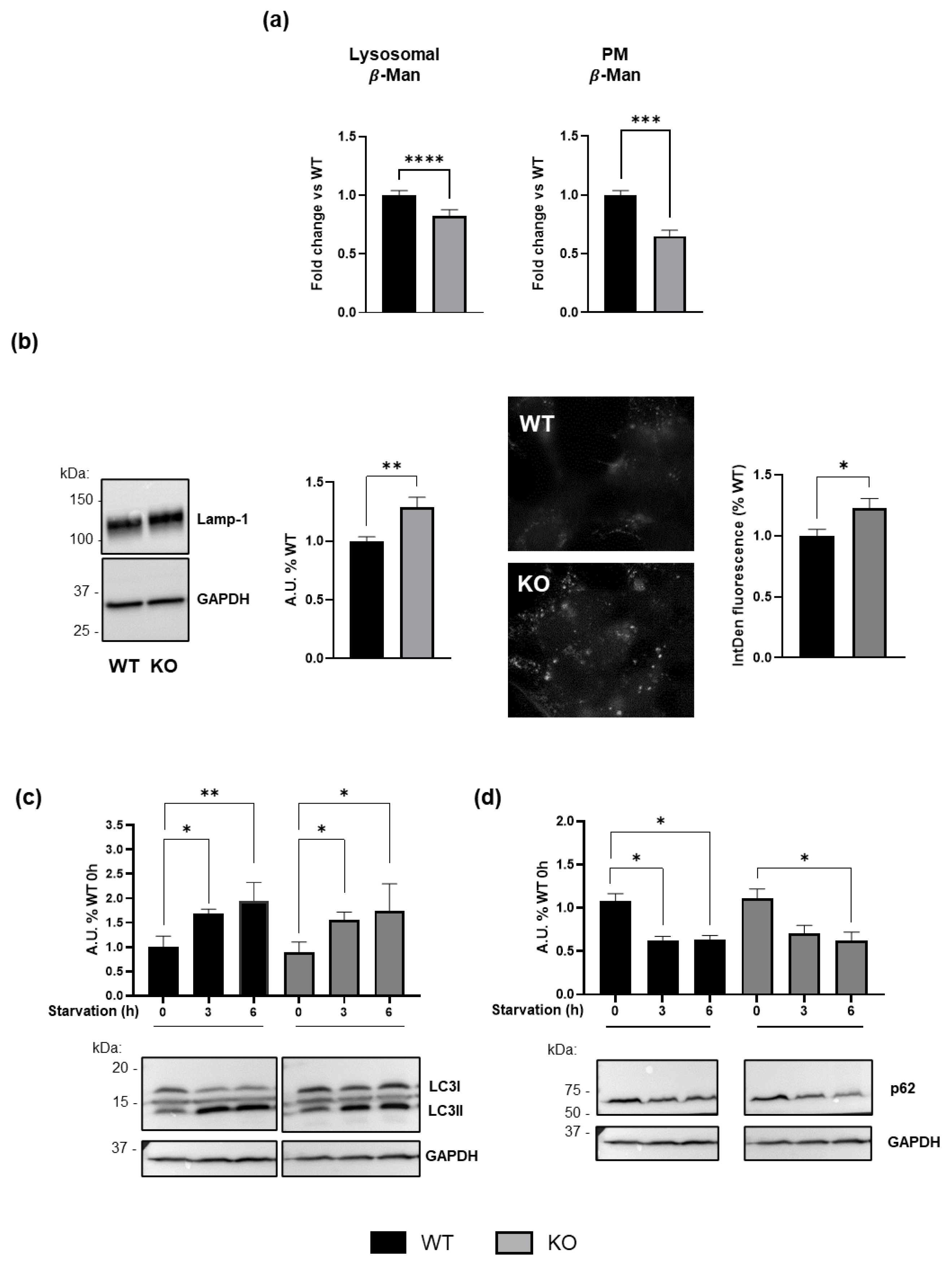 Biomedicines 13 00843 g005