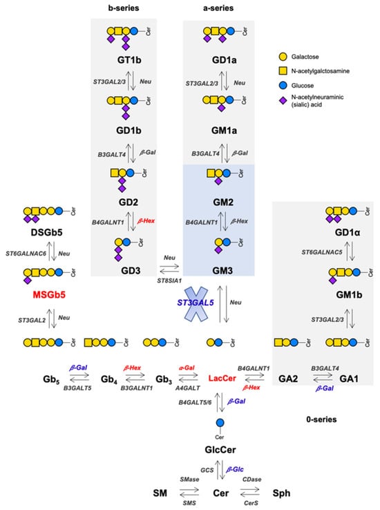 Biomedicines 13 00843 g007