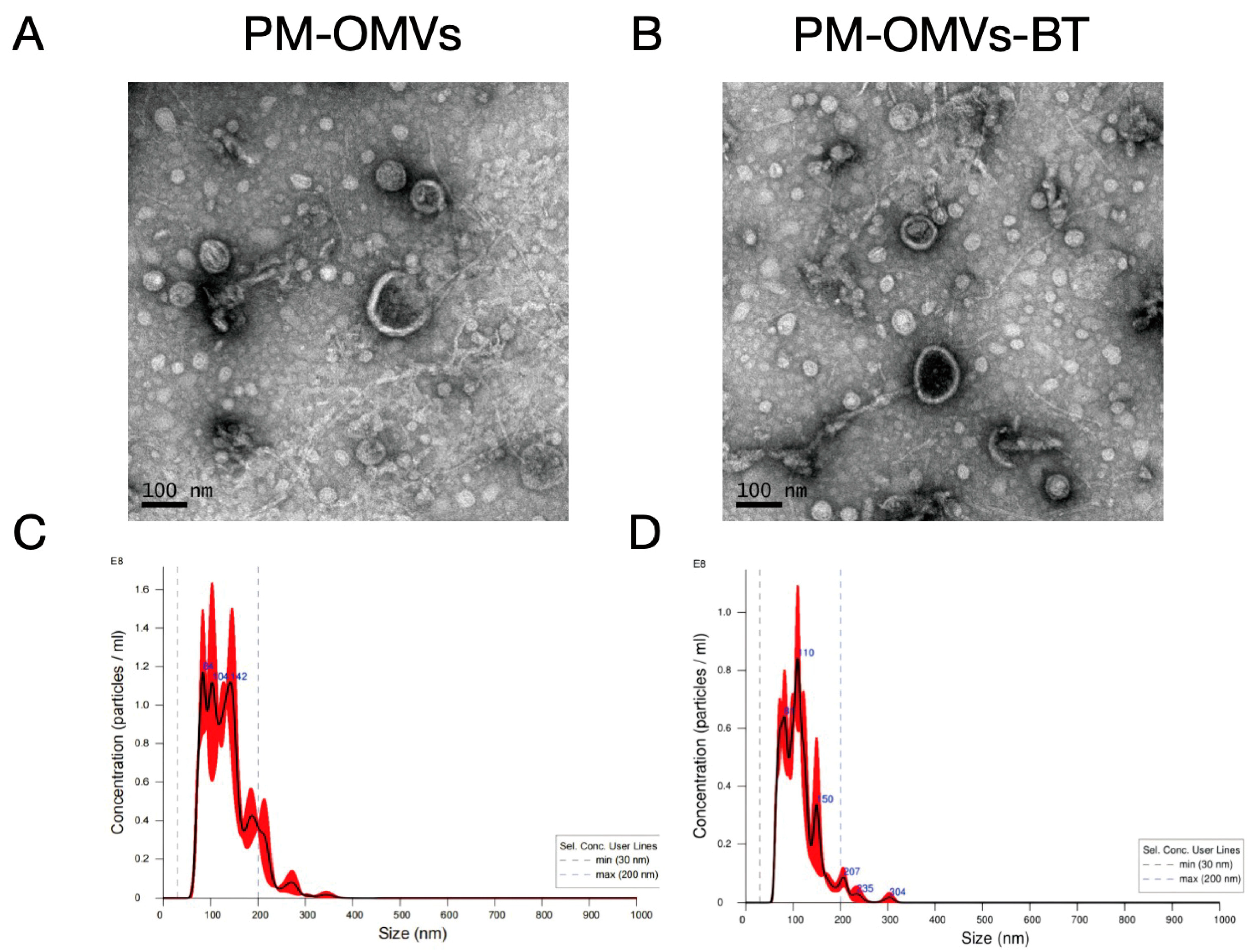 Biomedicines 13 00847 g001