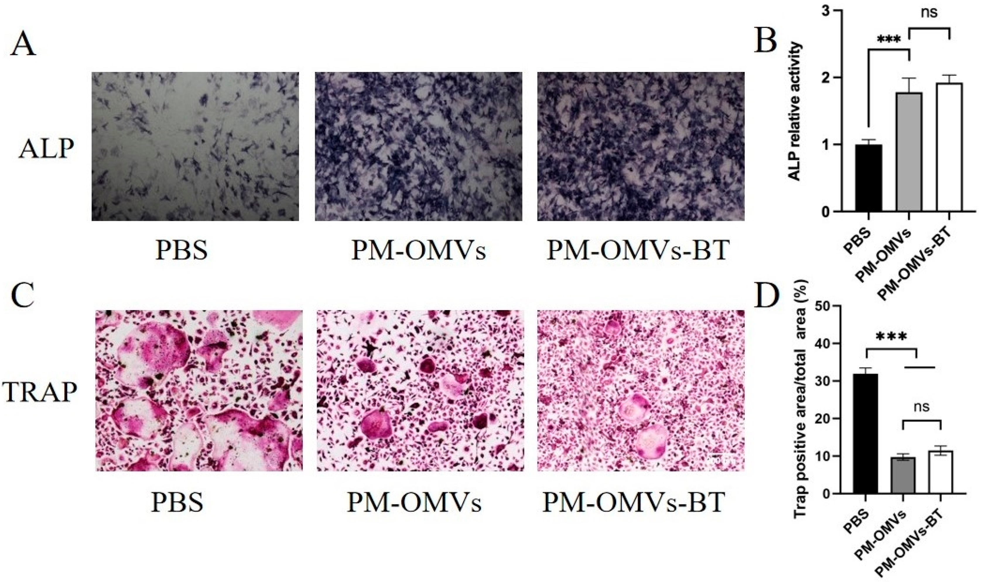 Biomedicines 13 00847 g005