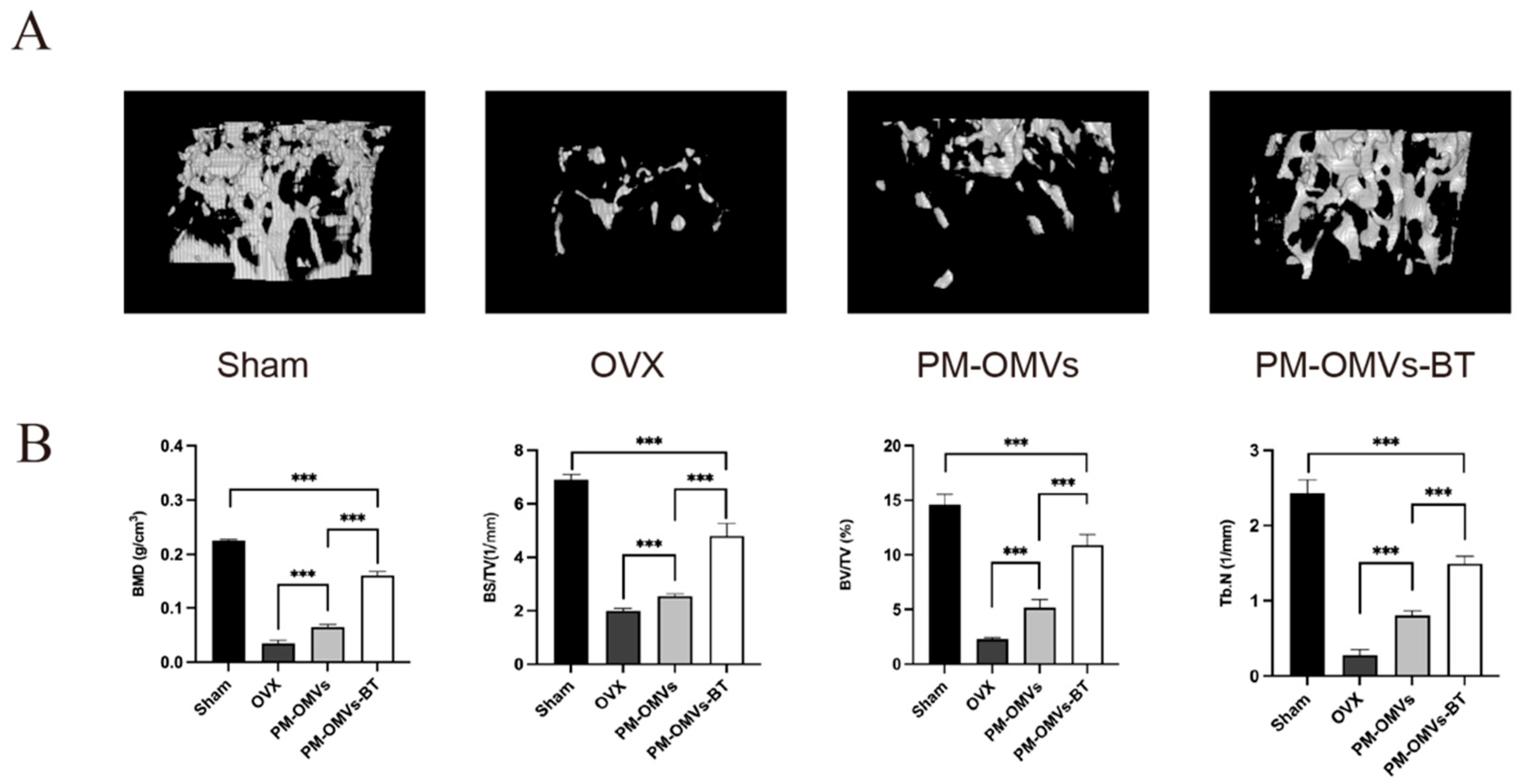 Biomedicines 13 00847 g006