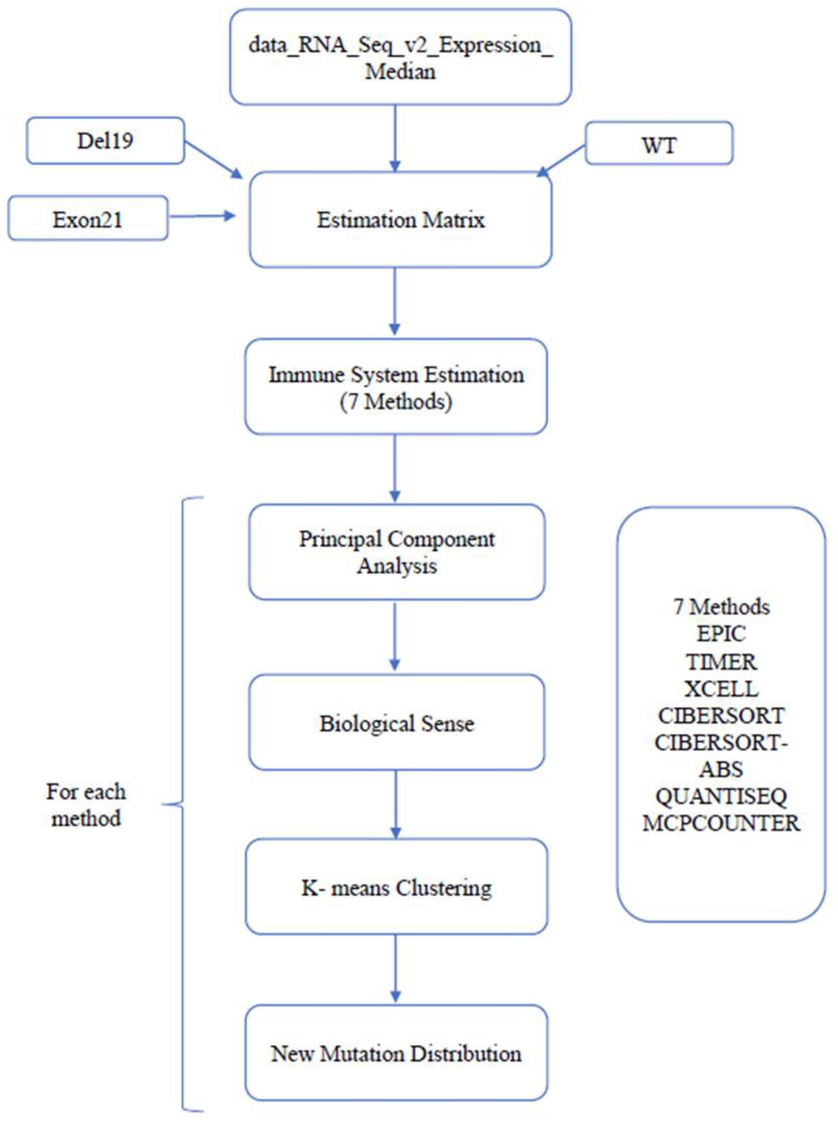 Biomedicines 13 00849 g001