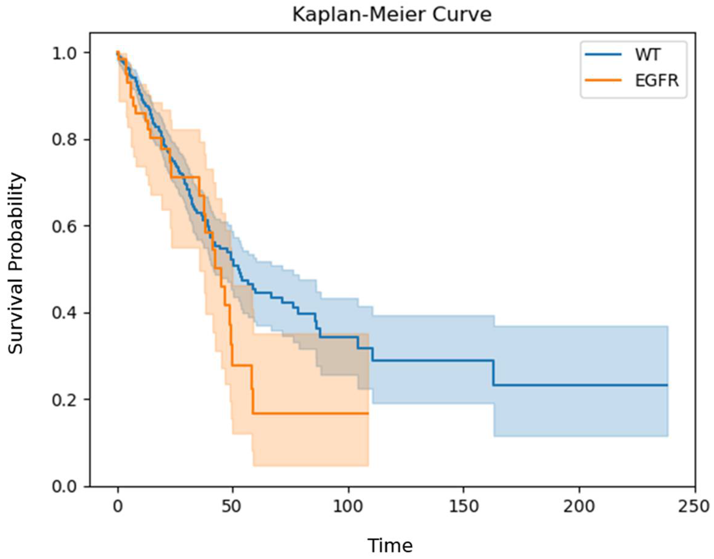 Biomedicines 13 00849 g002