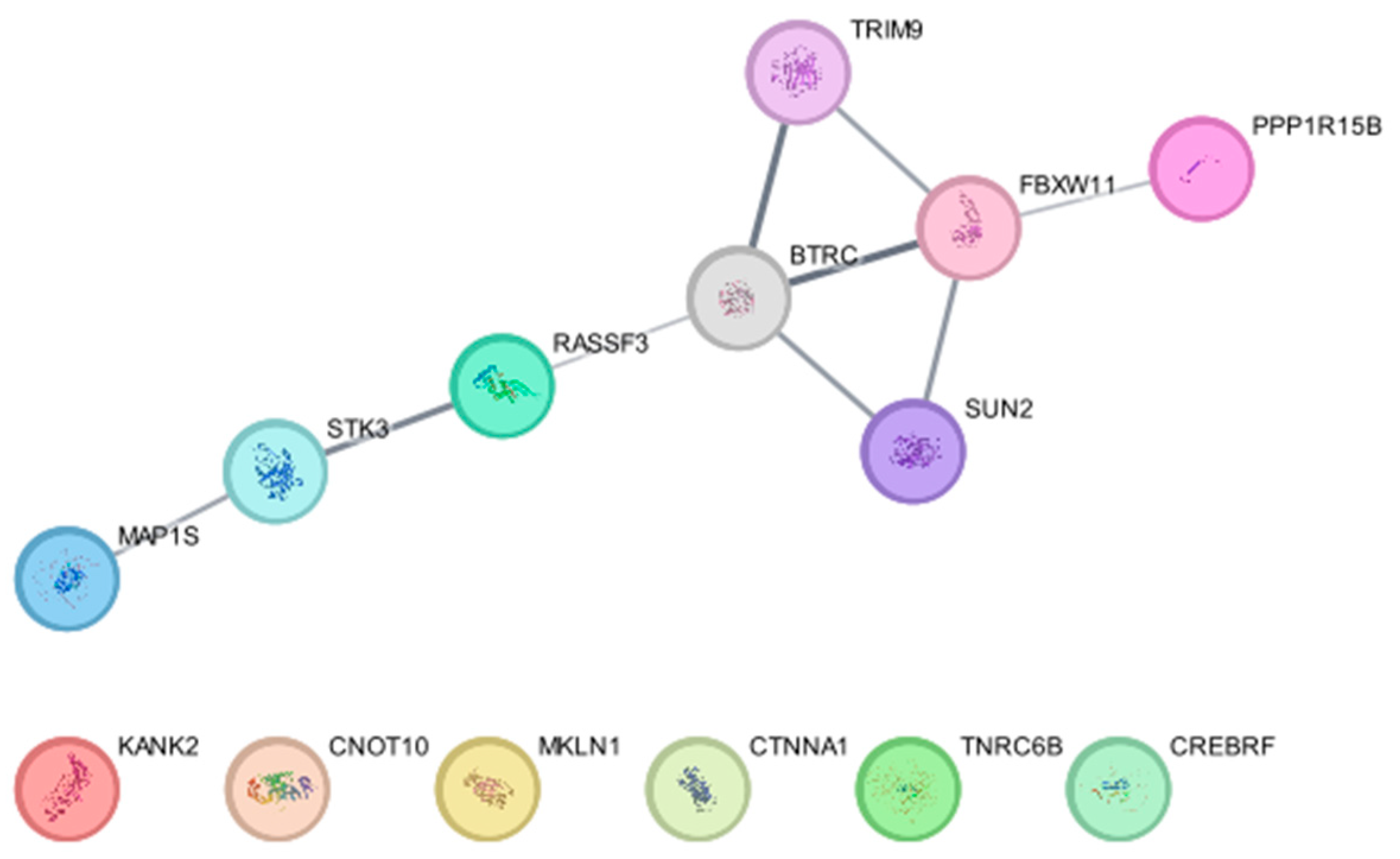 Biomedicines 13 00854 g003