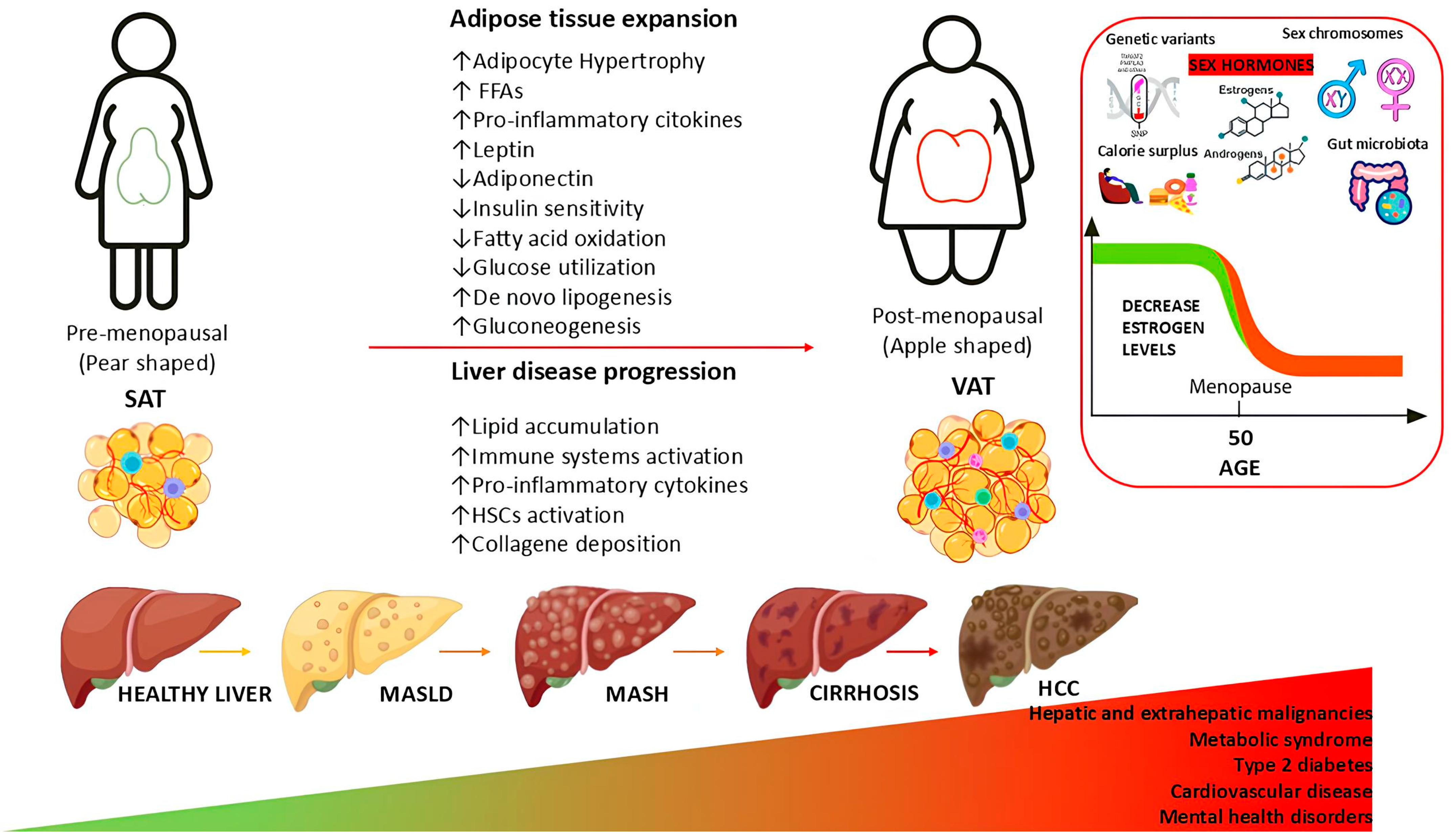 Biomedicines 13 00855 g001
