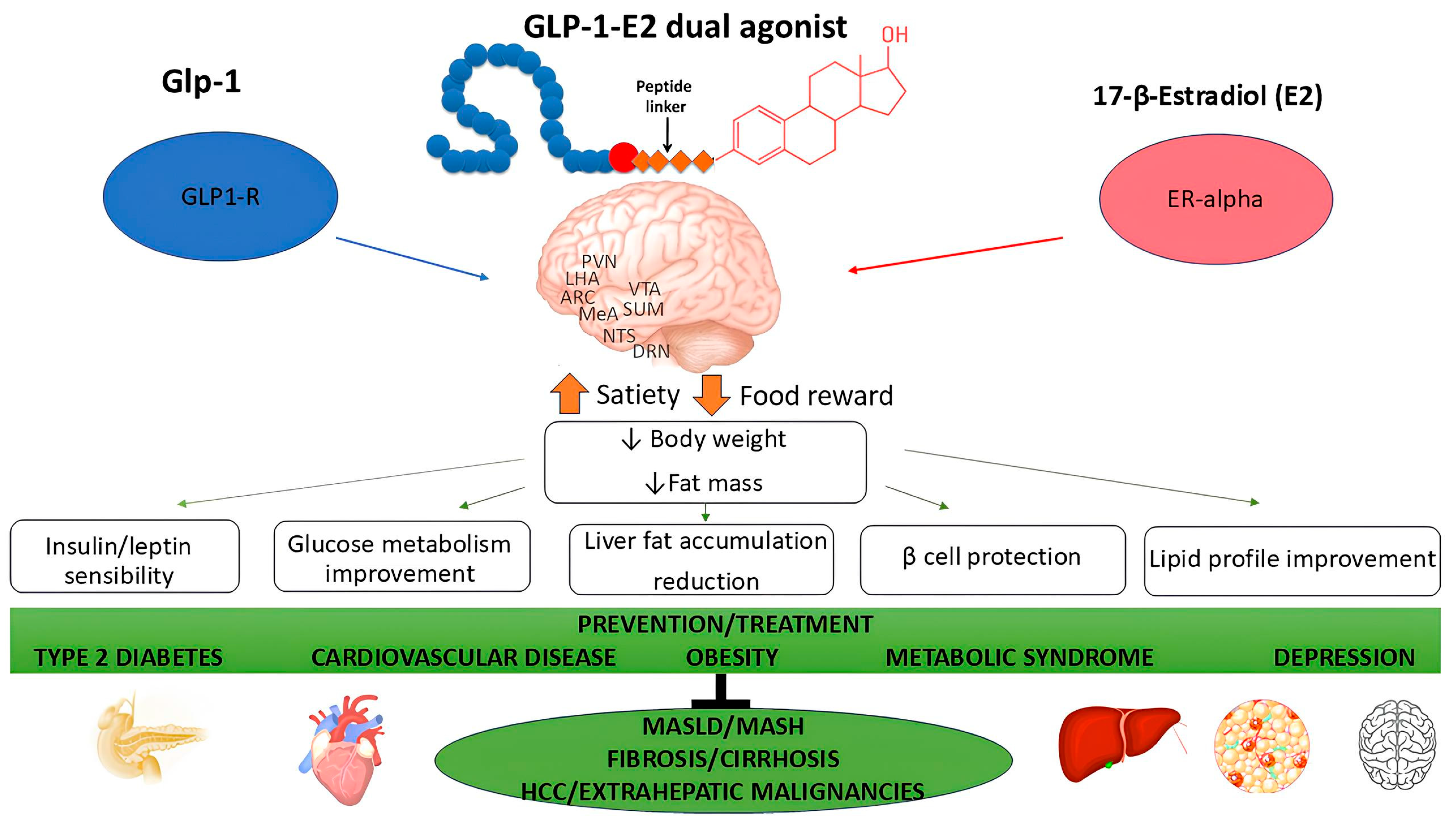 Biomedicines 13 00855 g002