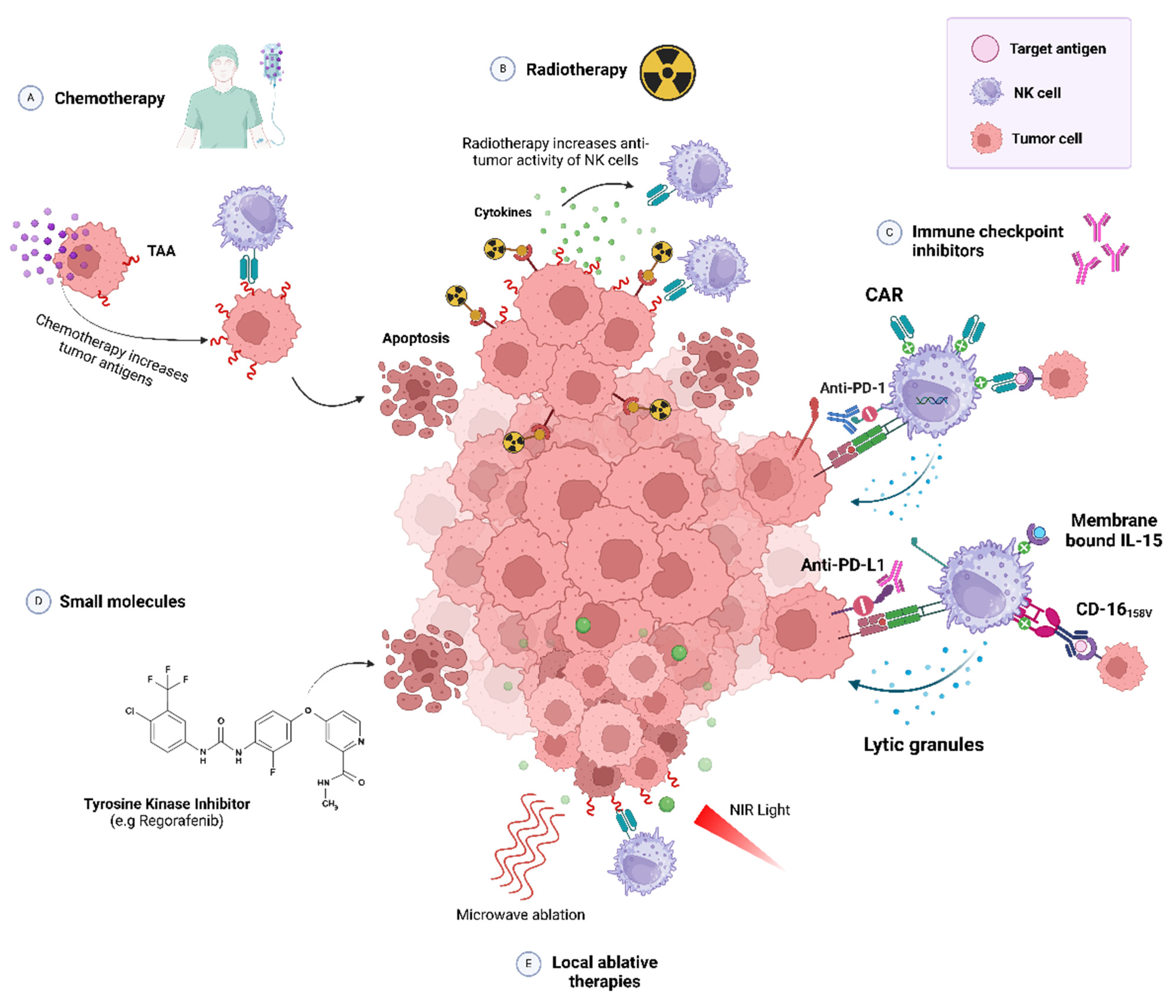 Biomedicines 13 00857 g004