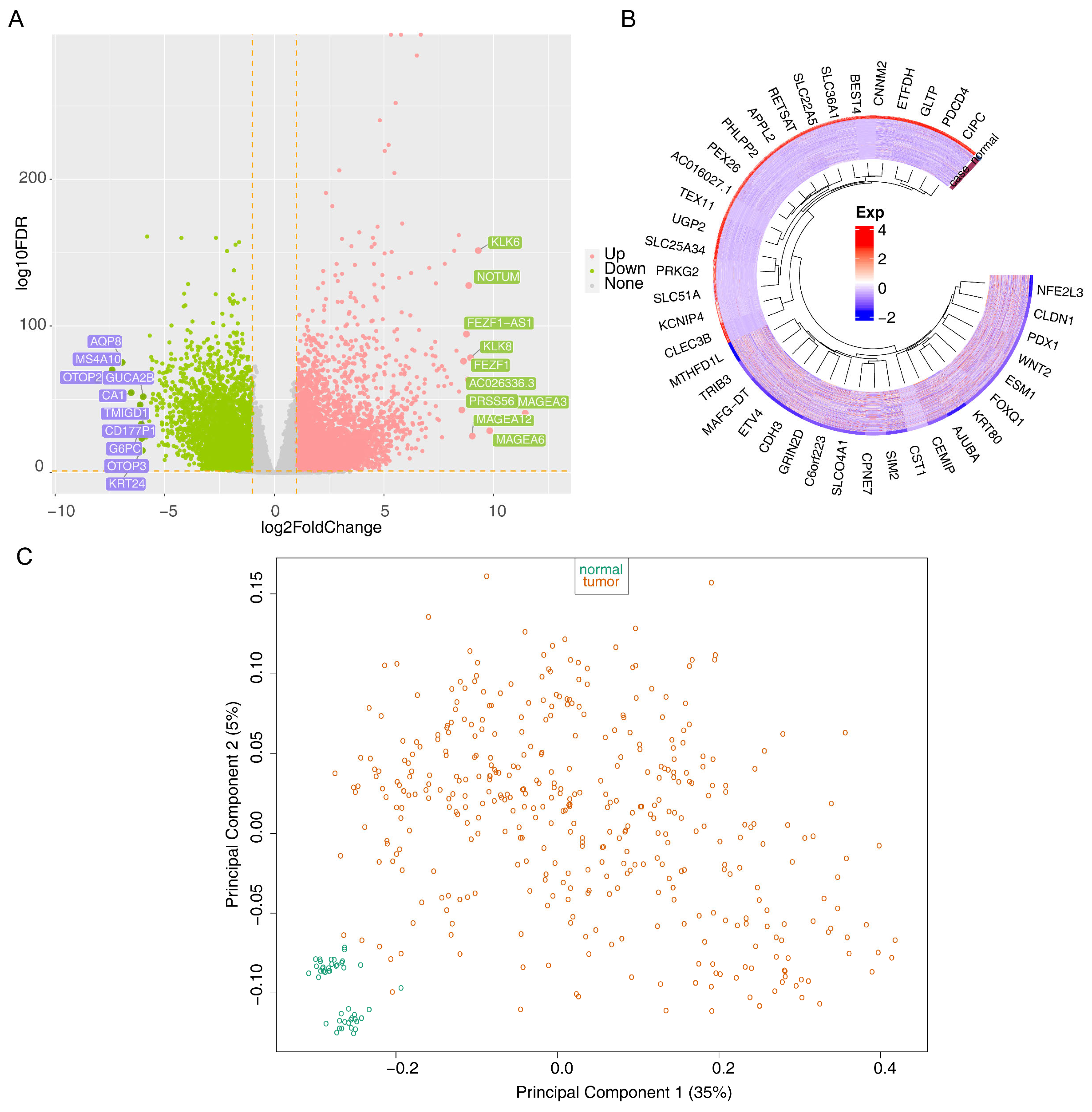 Biomedicines 13 00859 g001a