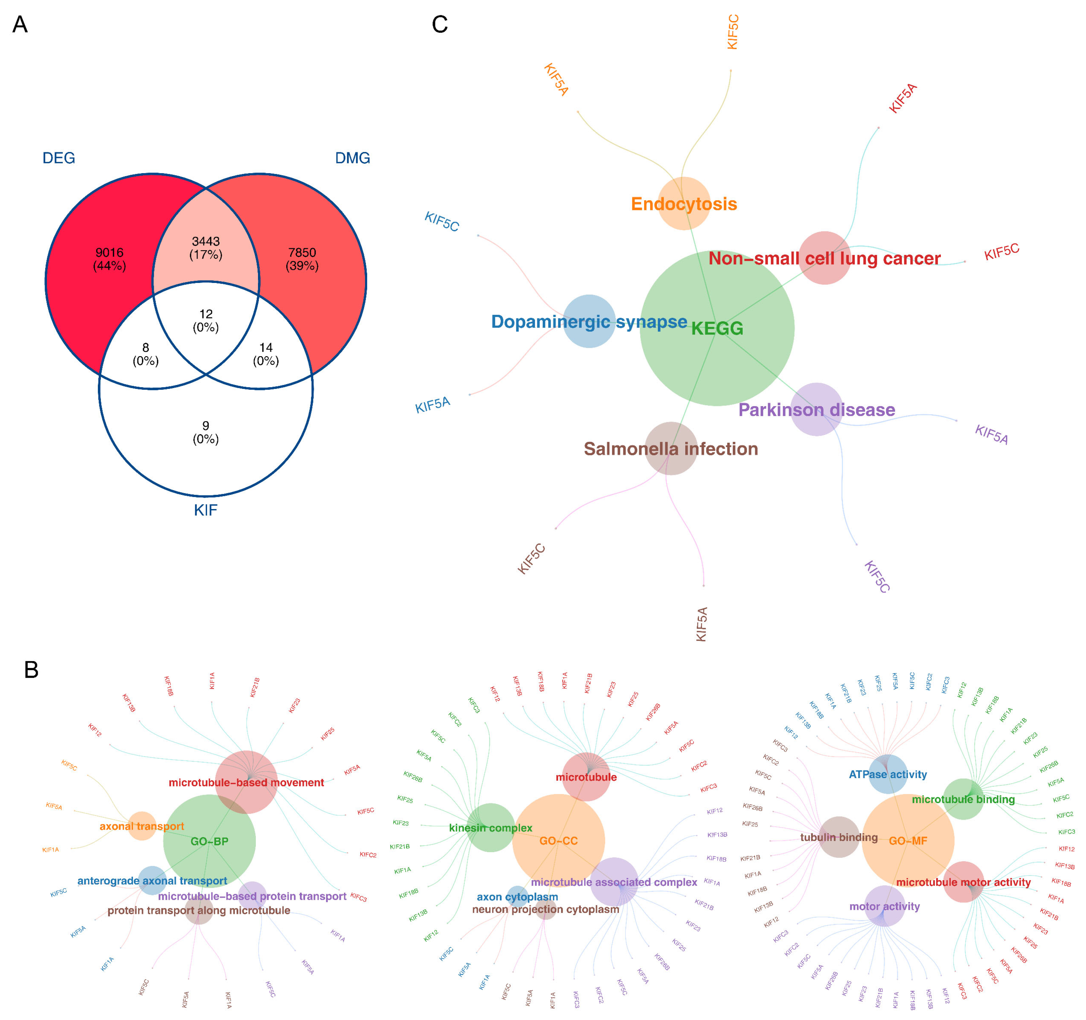 Biomedicines 13 00859 g002