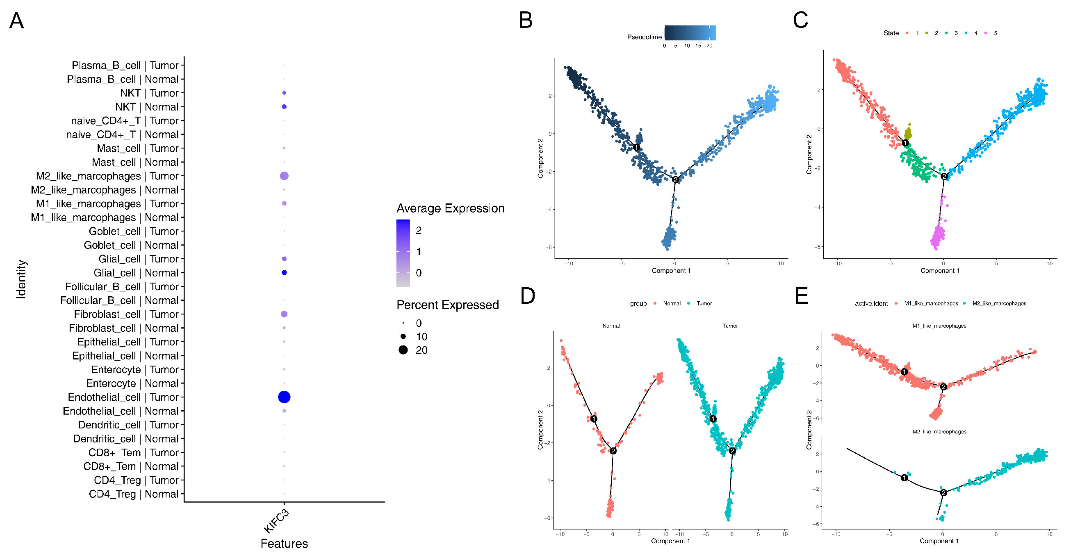 Biomedicines 13 00859 g008a