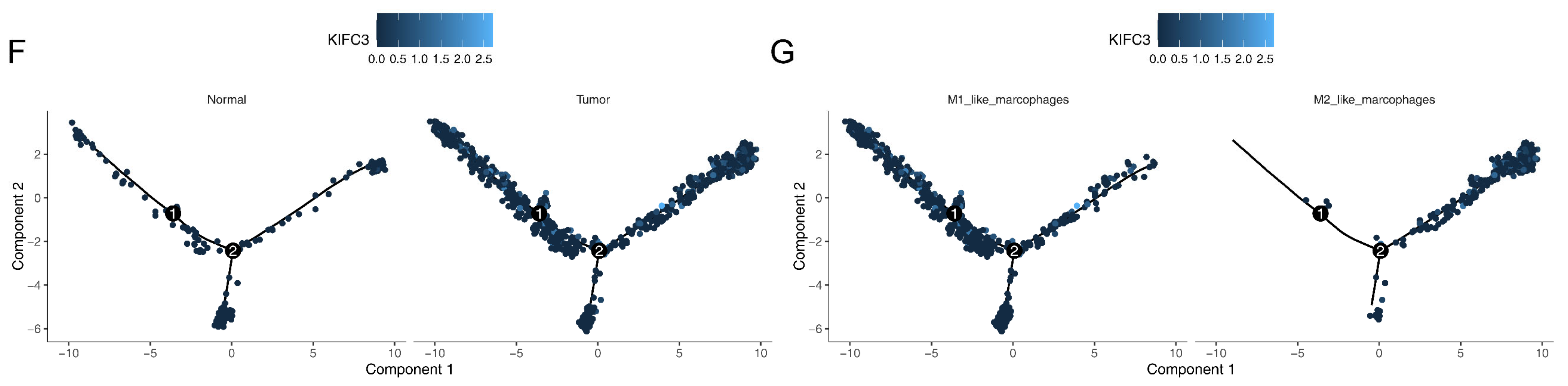 Biomedicines 13 00859 g008b