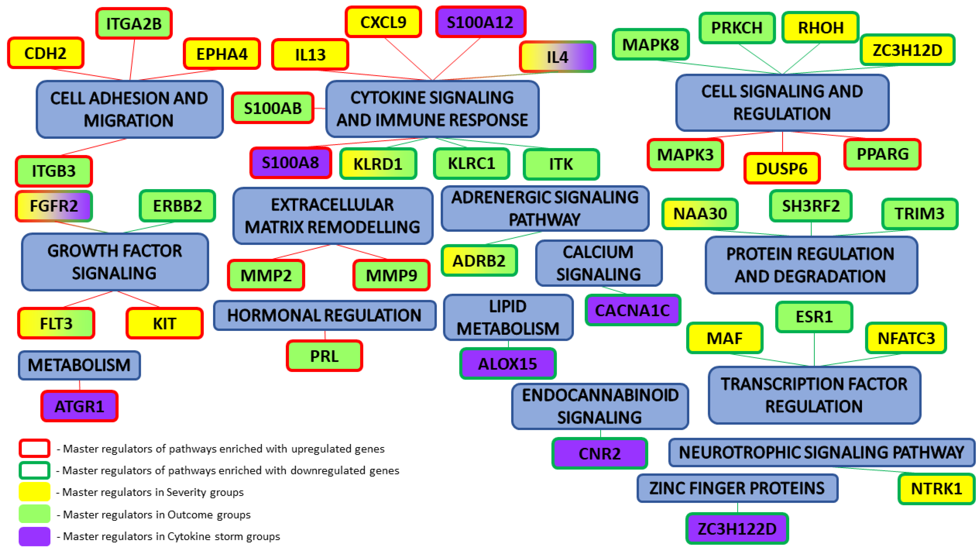 Biomedicines 13 00863 g005