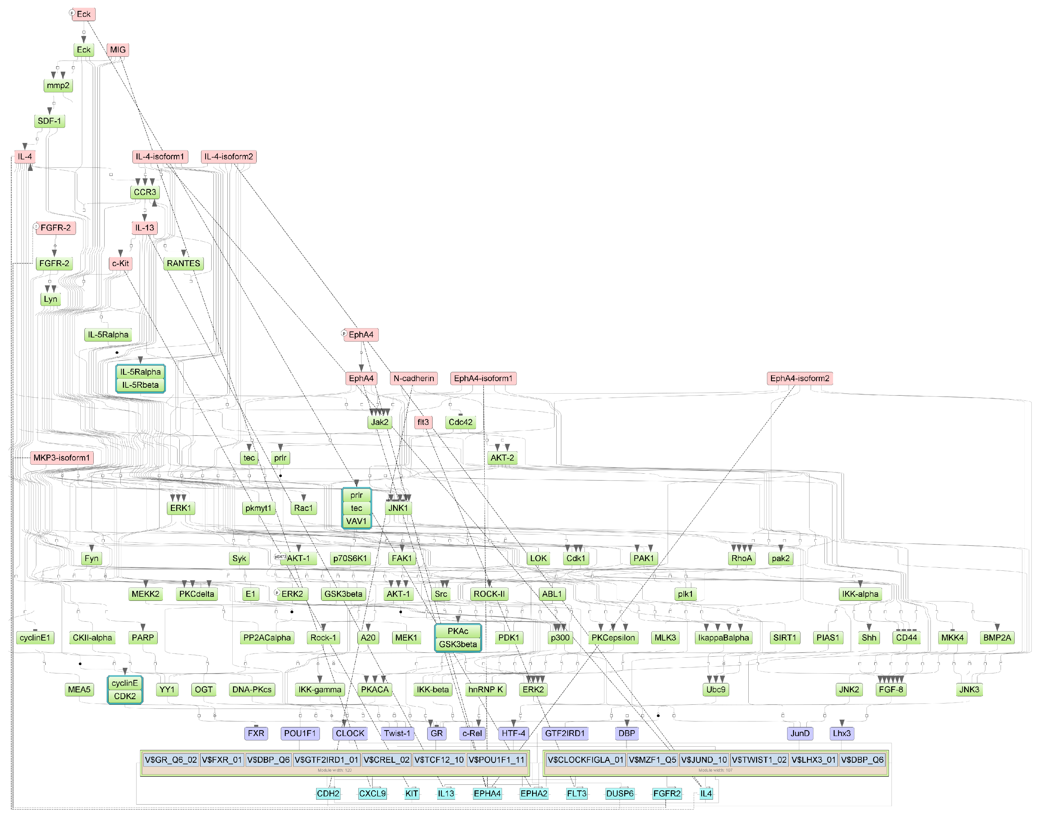 Biomedicines 13 00863 g0a1