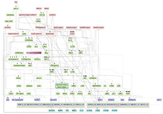 Biomedicines 13 00863 g0a3