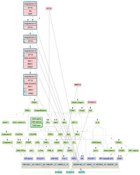 Biomedicines 13 00863 g0a5