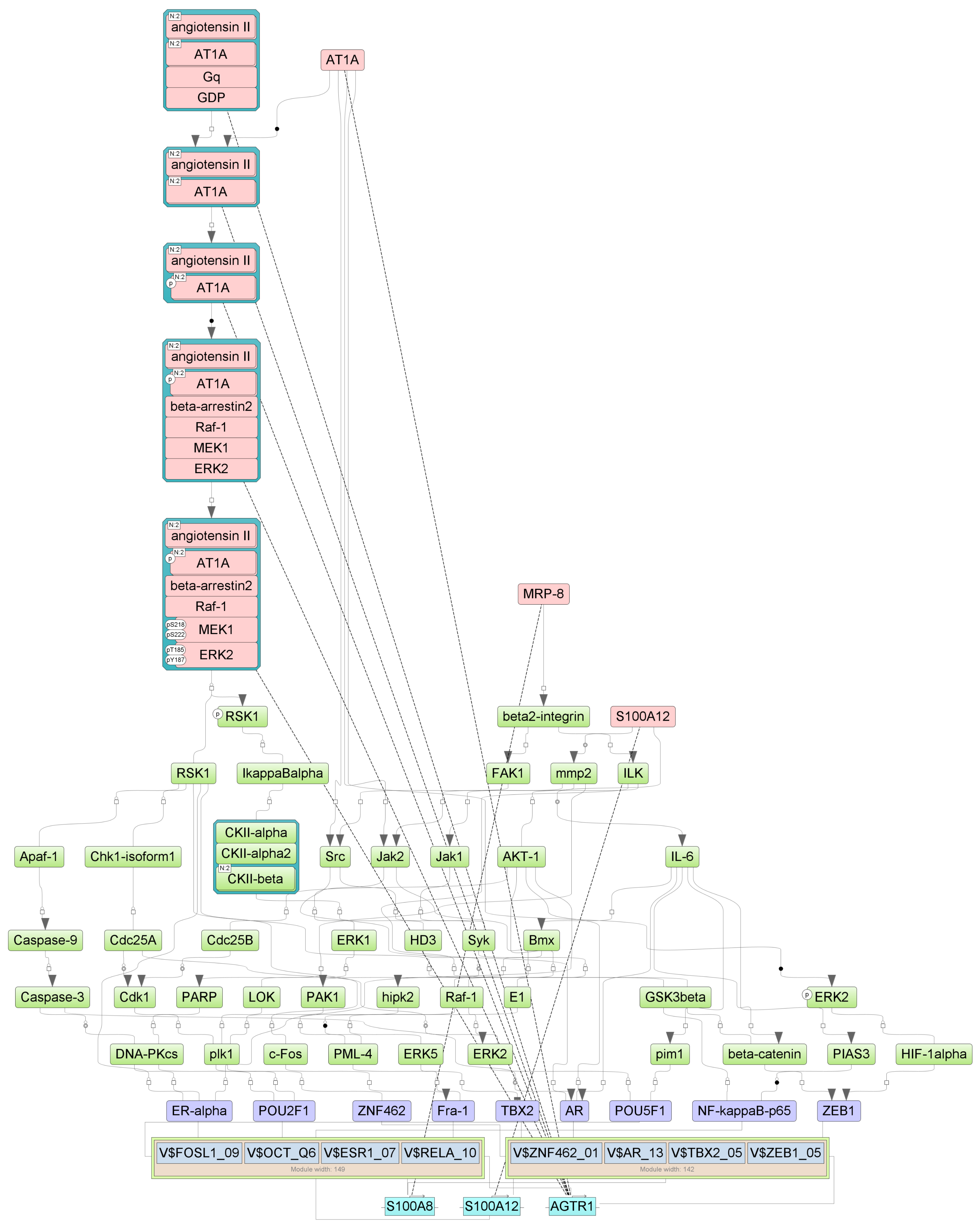 Biomedicines 13 00863 g0a5