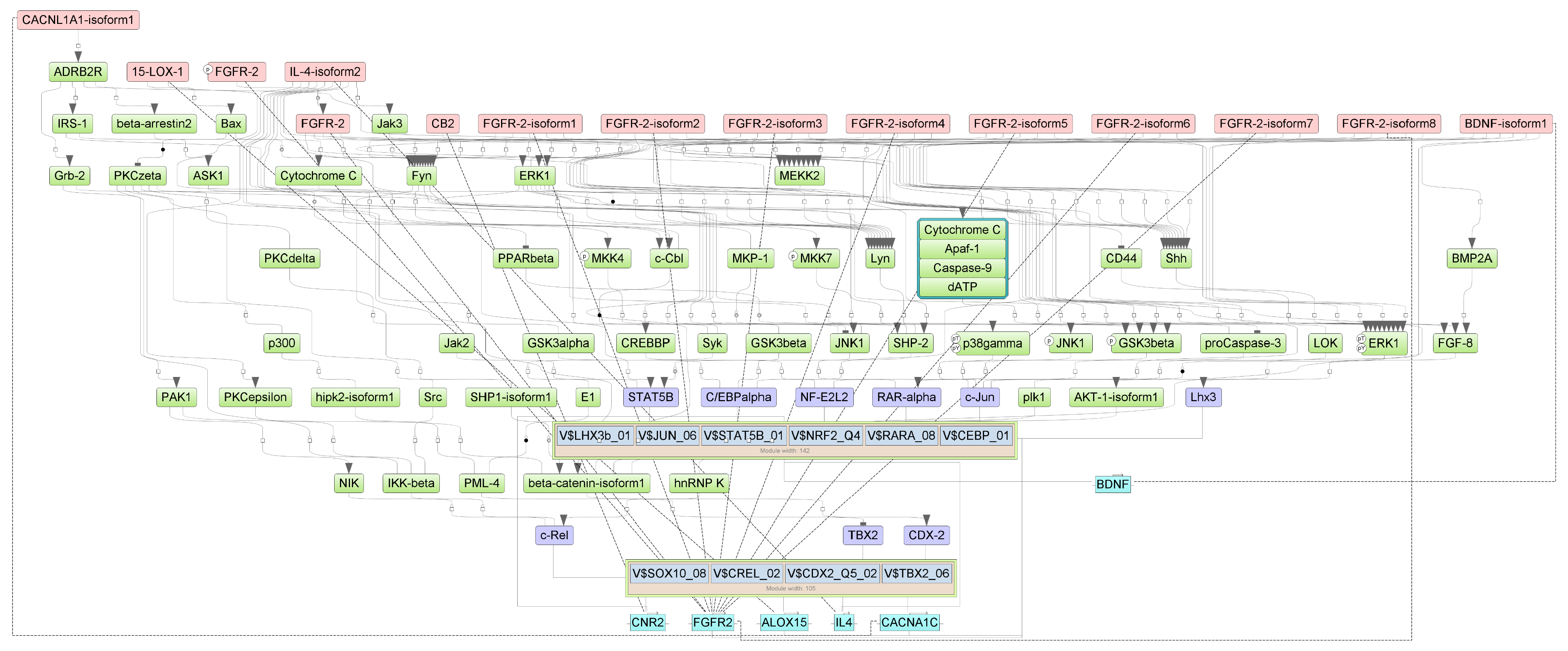Biomedicines 13 00863 g0a6