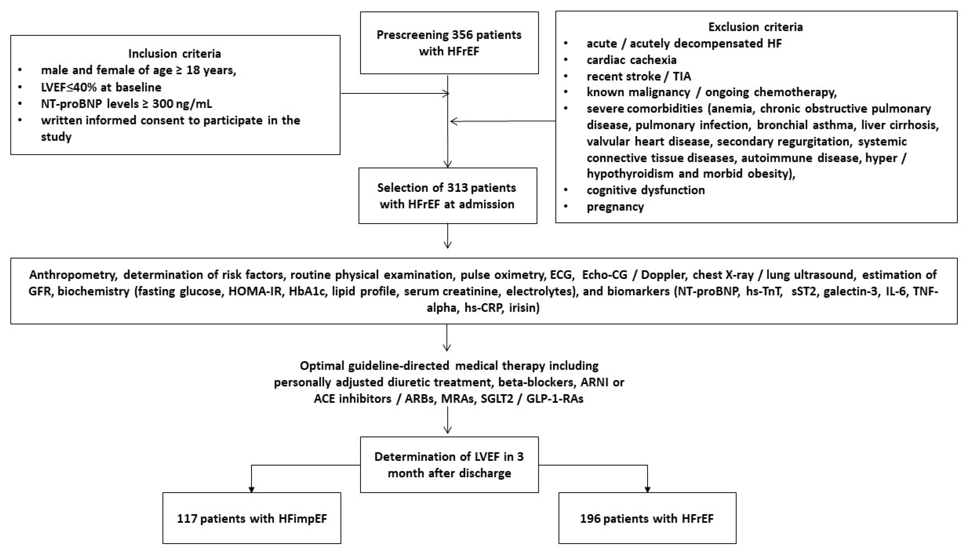 Biomedicines 13 00866 g002
