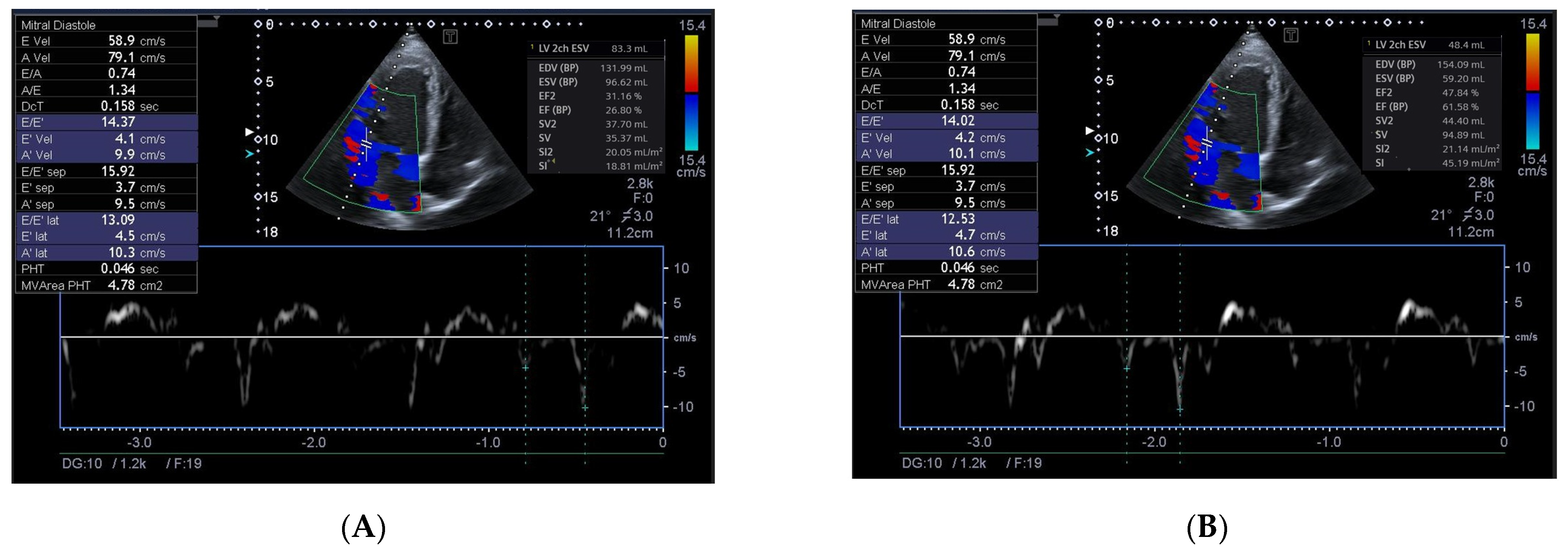 Biomedicines 13 00866 g003