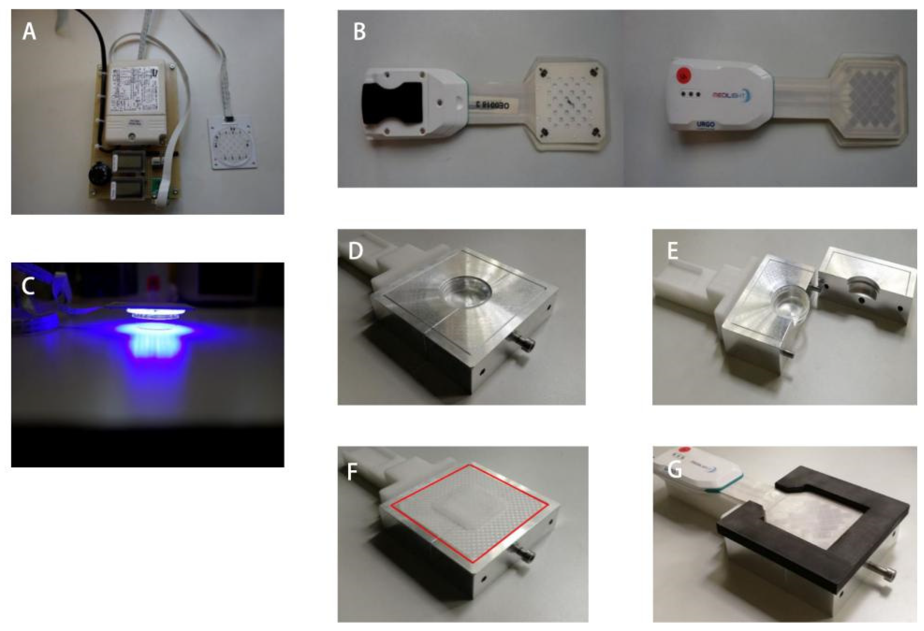 Biomedicines 13 00868 g001 Biomedicines 13 00868 g001