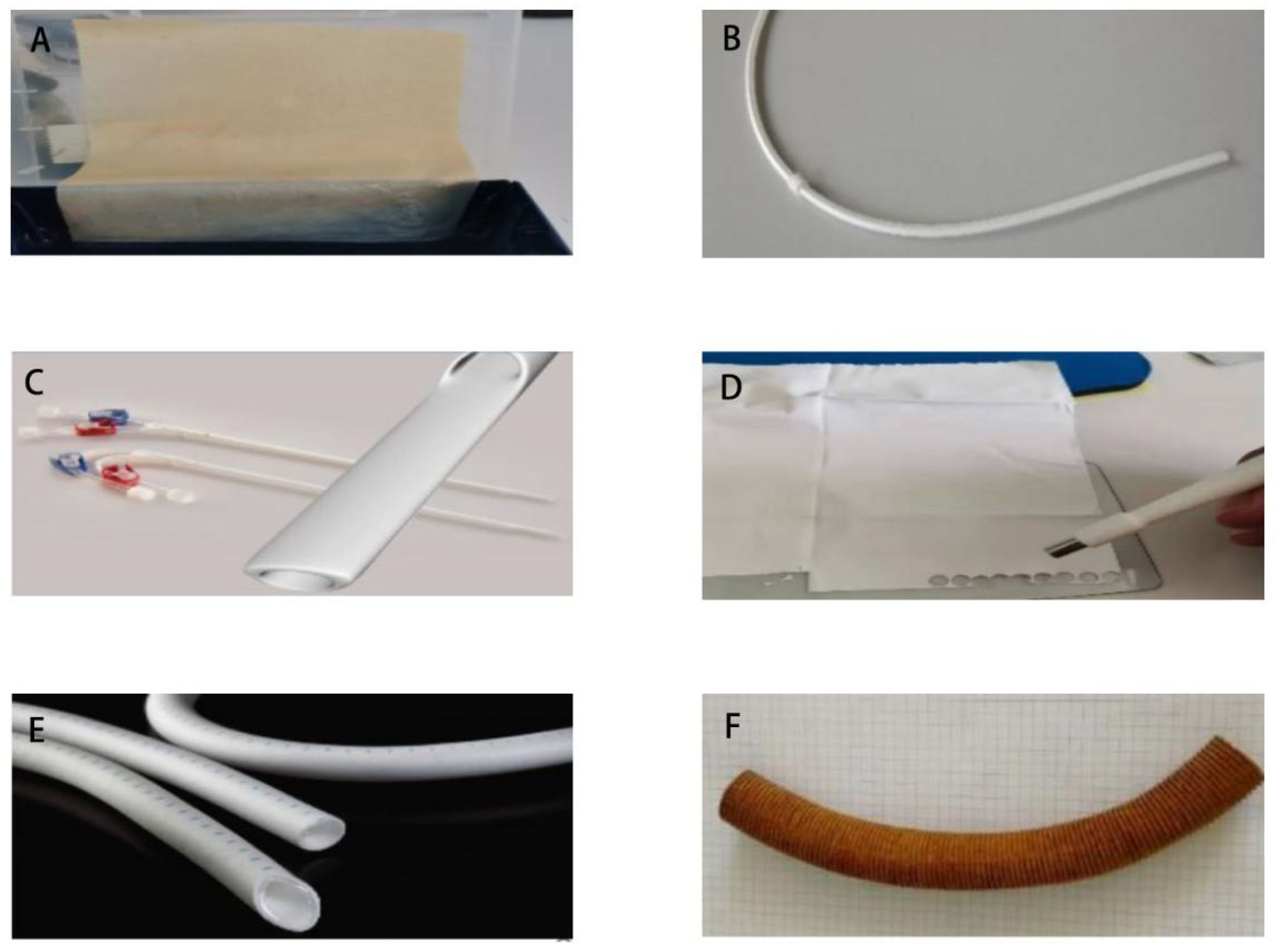 Biomedicines 13 00868 g002 Biomedicines 13 00868 g002