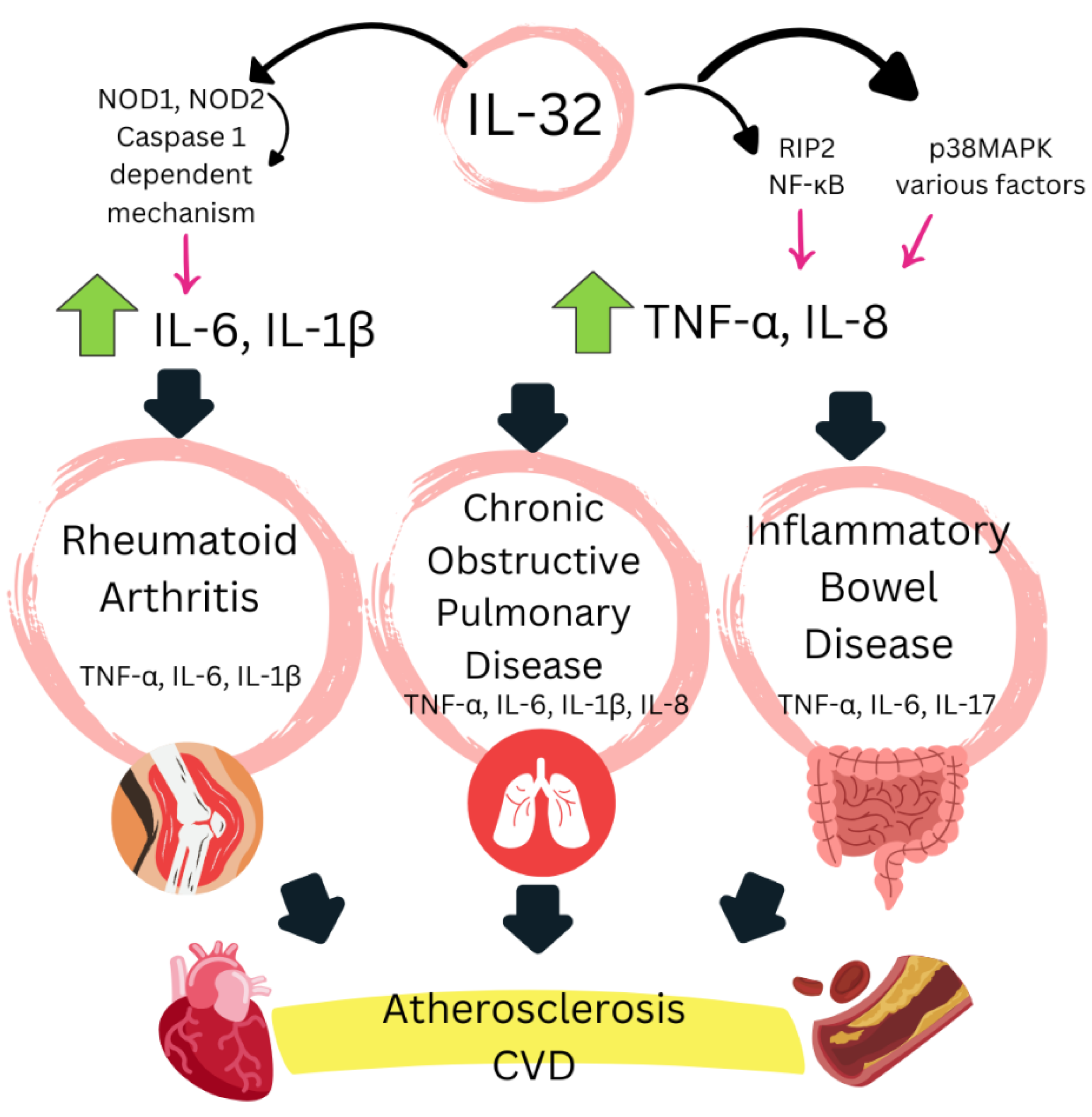 Biomedicines 13 00870 g001