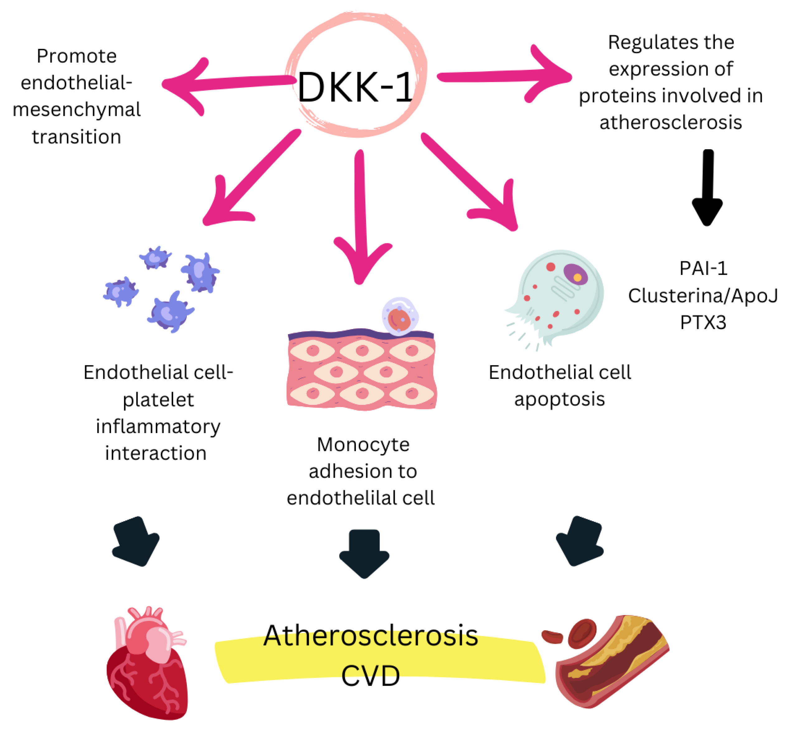 Biomedicines 13 00870 g002