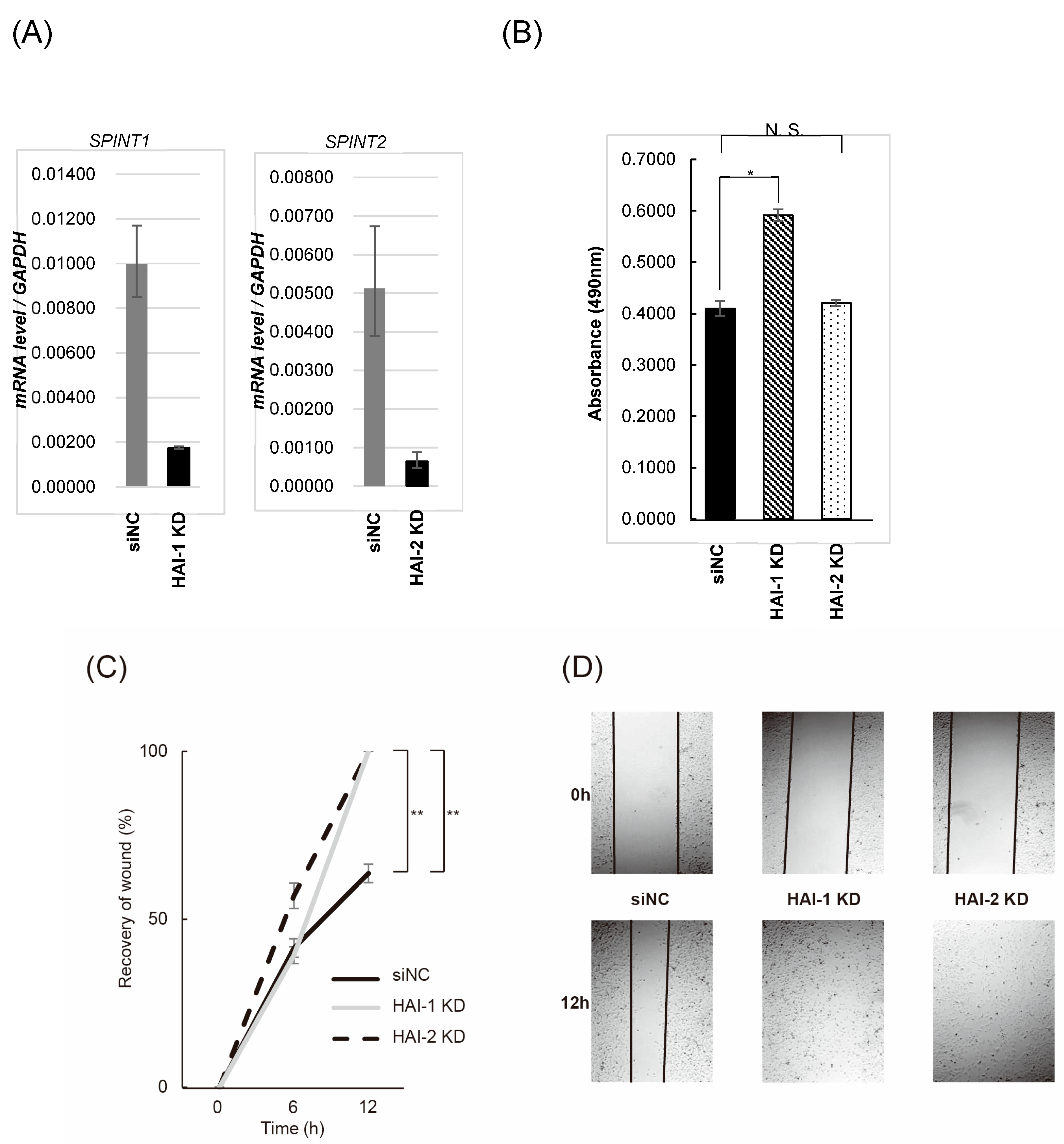 Biomedicines 13 00871 g004a