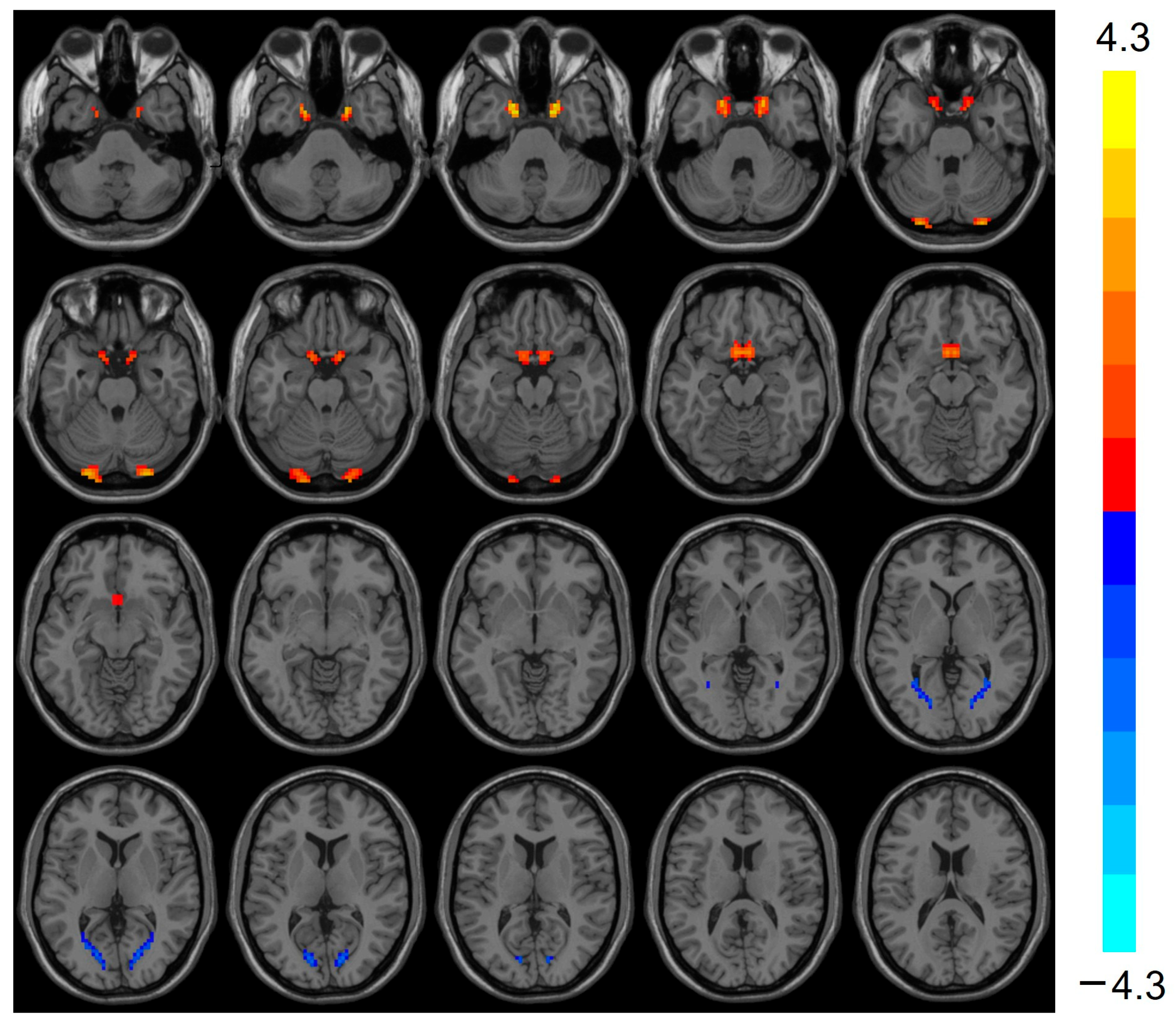 Biomedicines 13 00873 g002