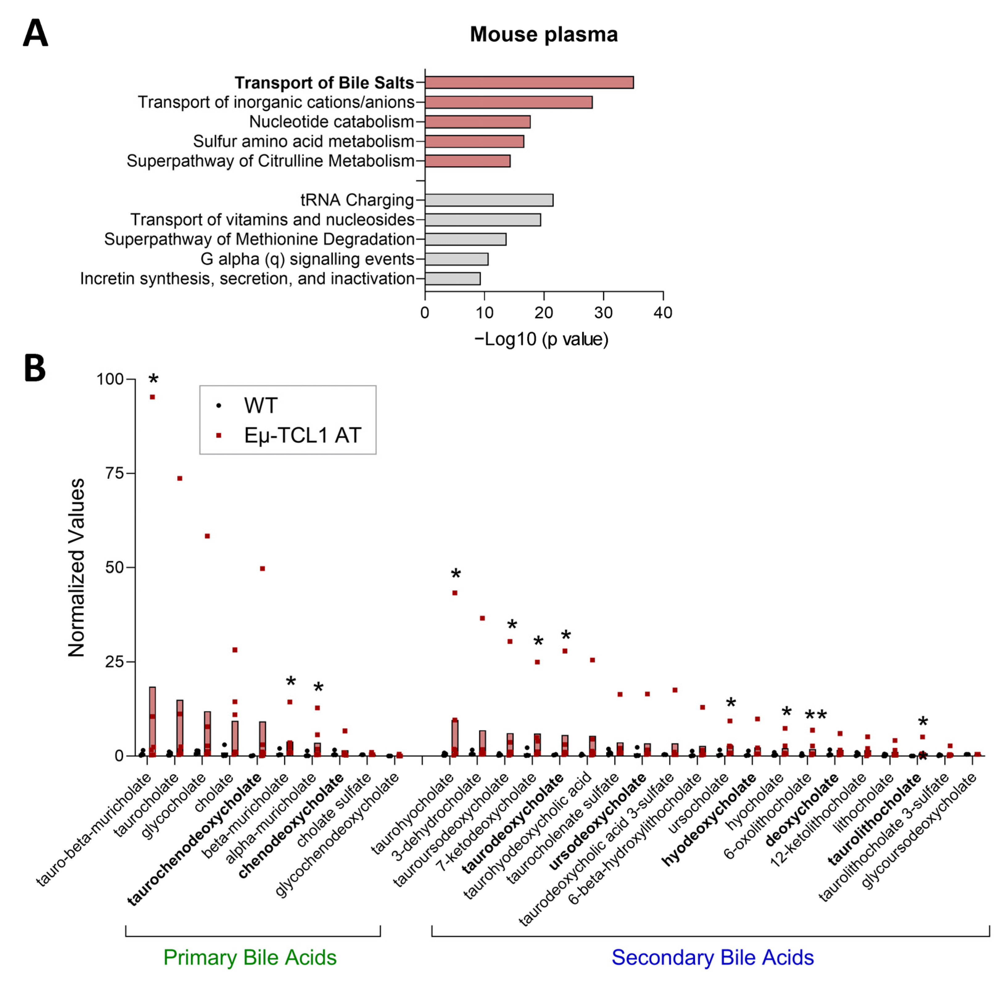 Biomedicines 13 00874 g001