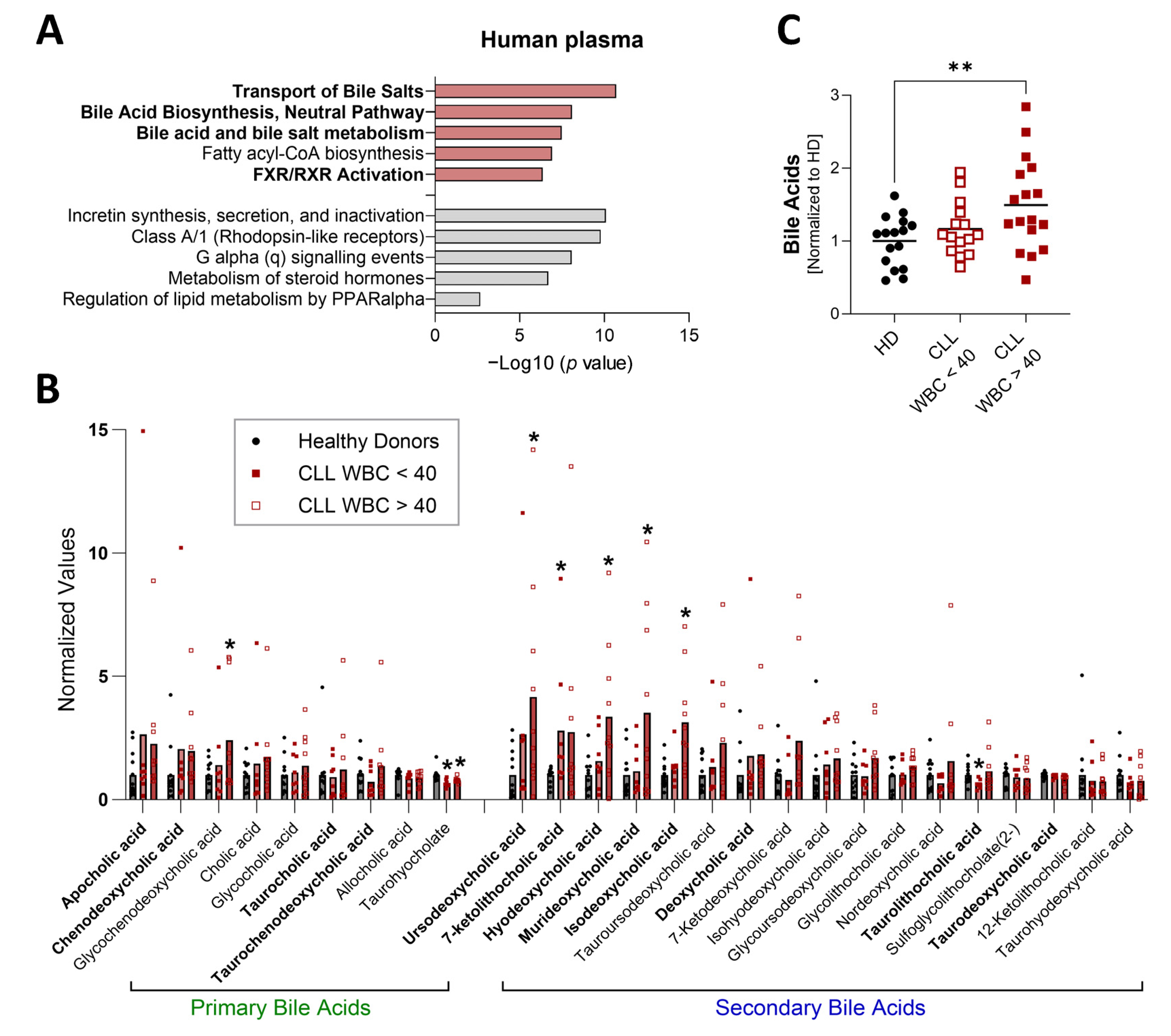 Biomedicines 13 00874 g002