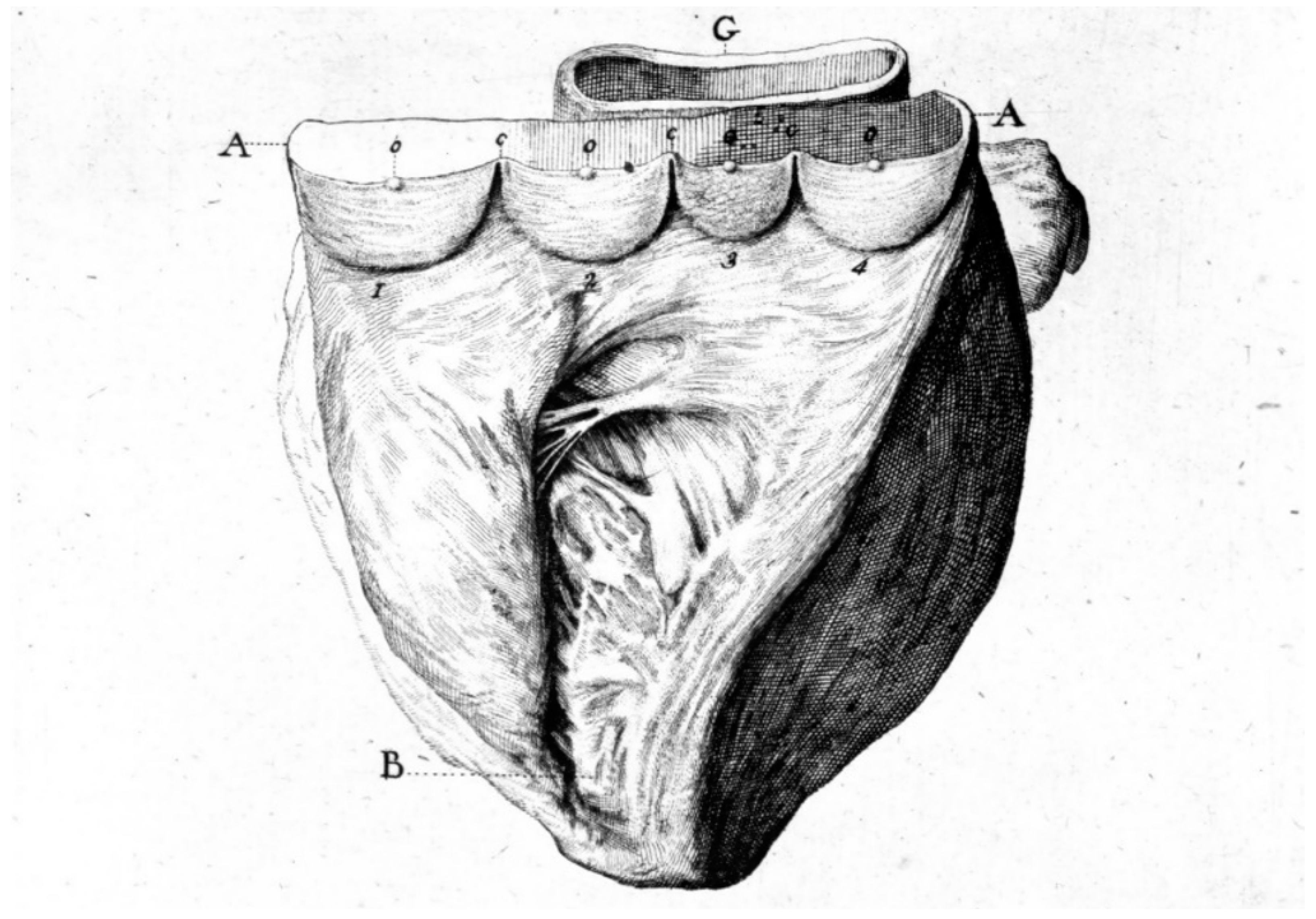 Biomedicines 13 00875 g010 Biomedicines 13 00875 g010