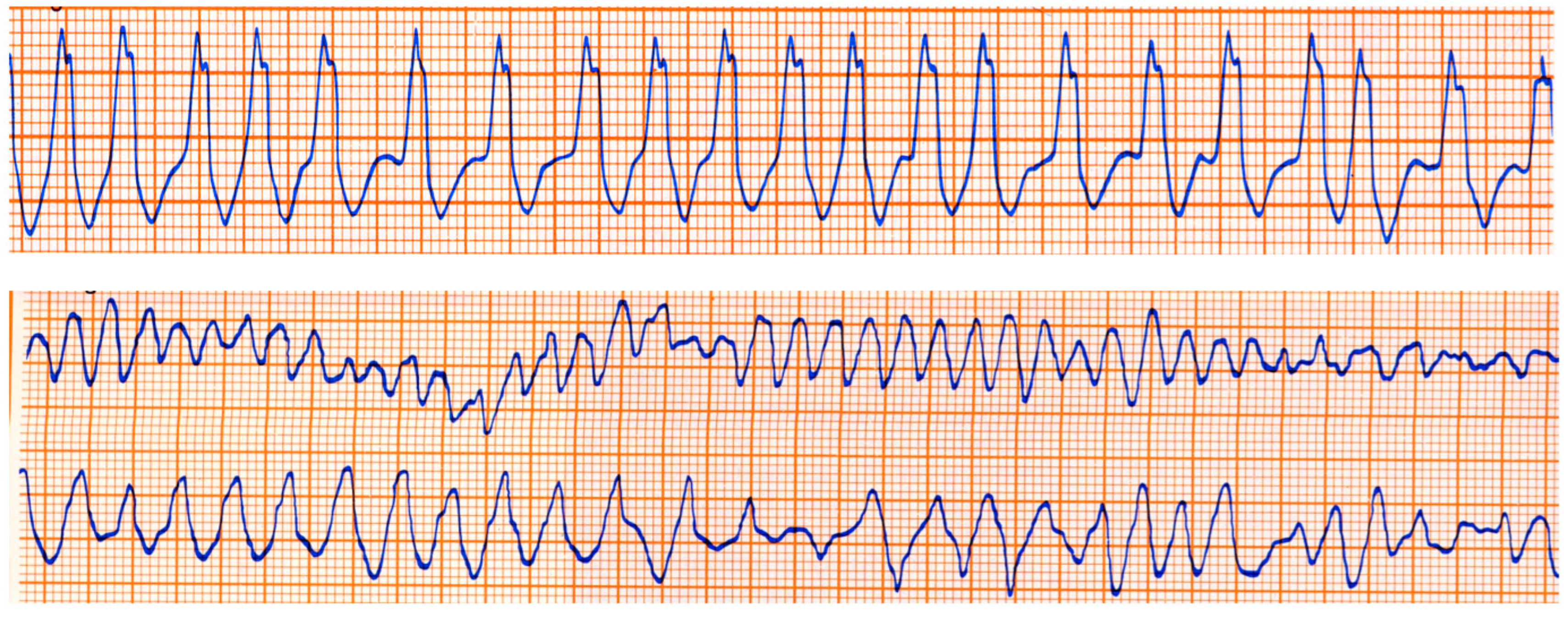Biomedicines 13 00875 g020 Biomedicines 13 00875 g020