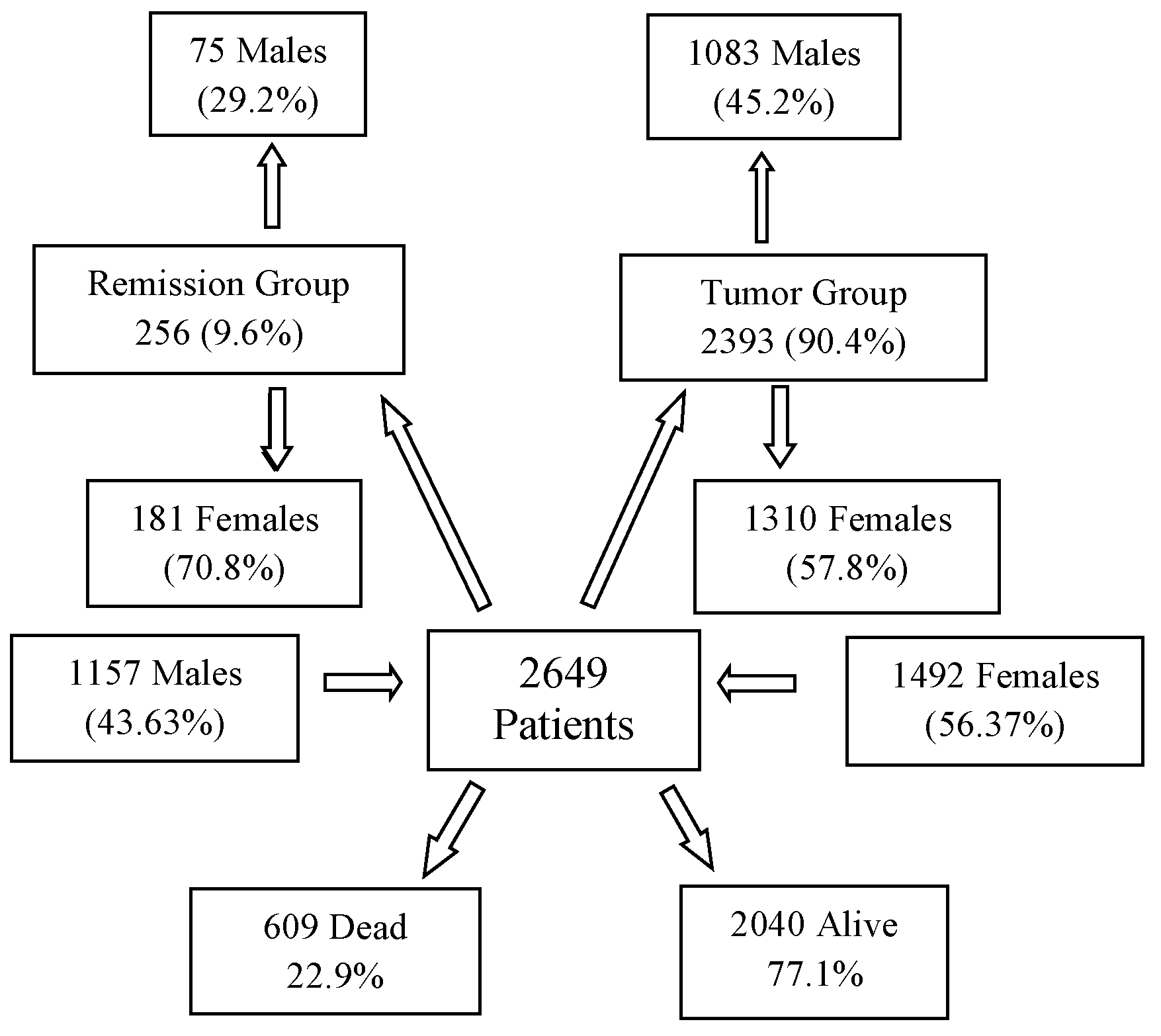 Biomedicines 13 00876 g001