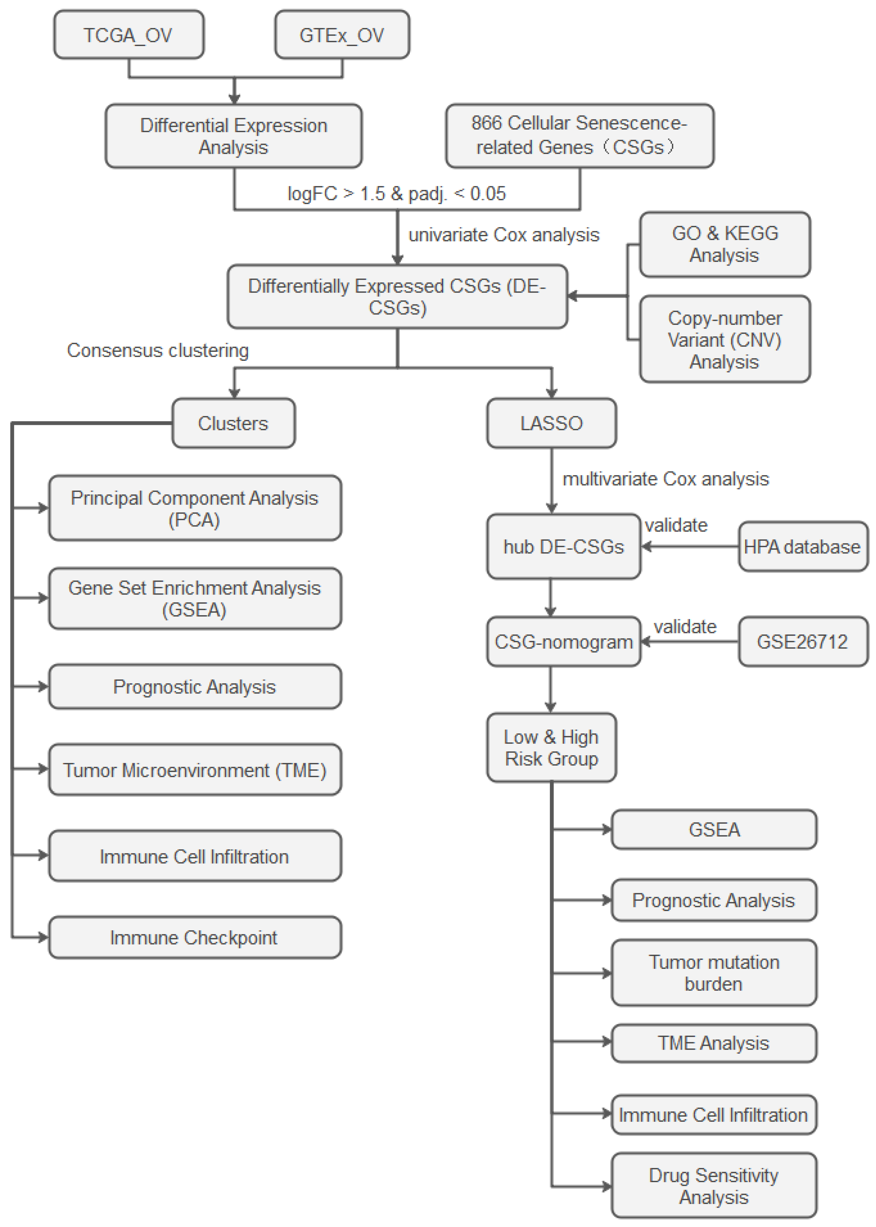 Biomedicines 13 00877 g001