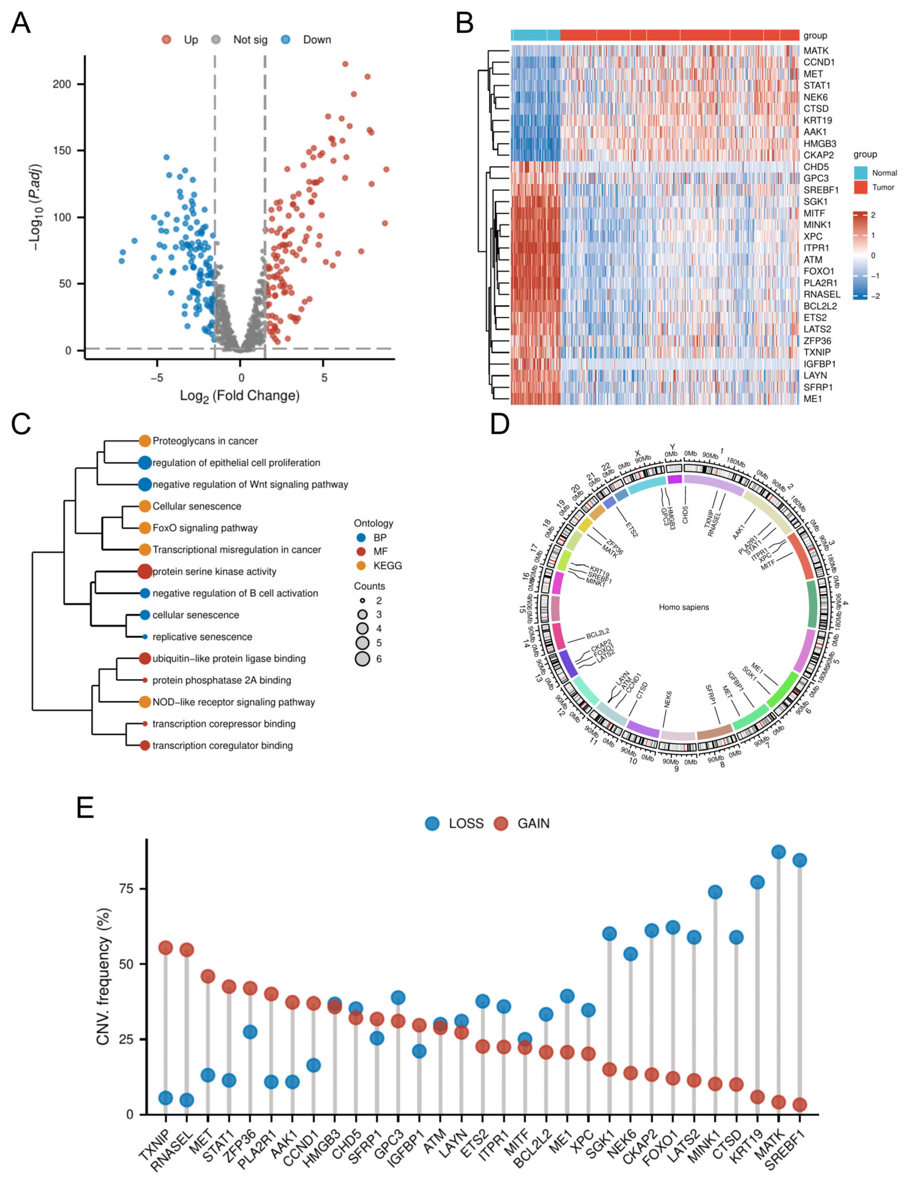 Biomedicines 13 00877 g002