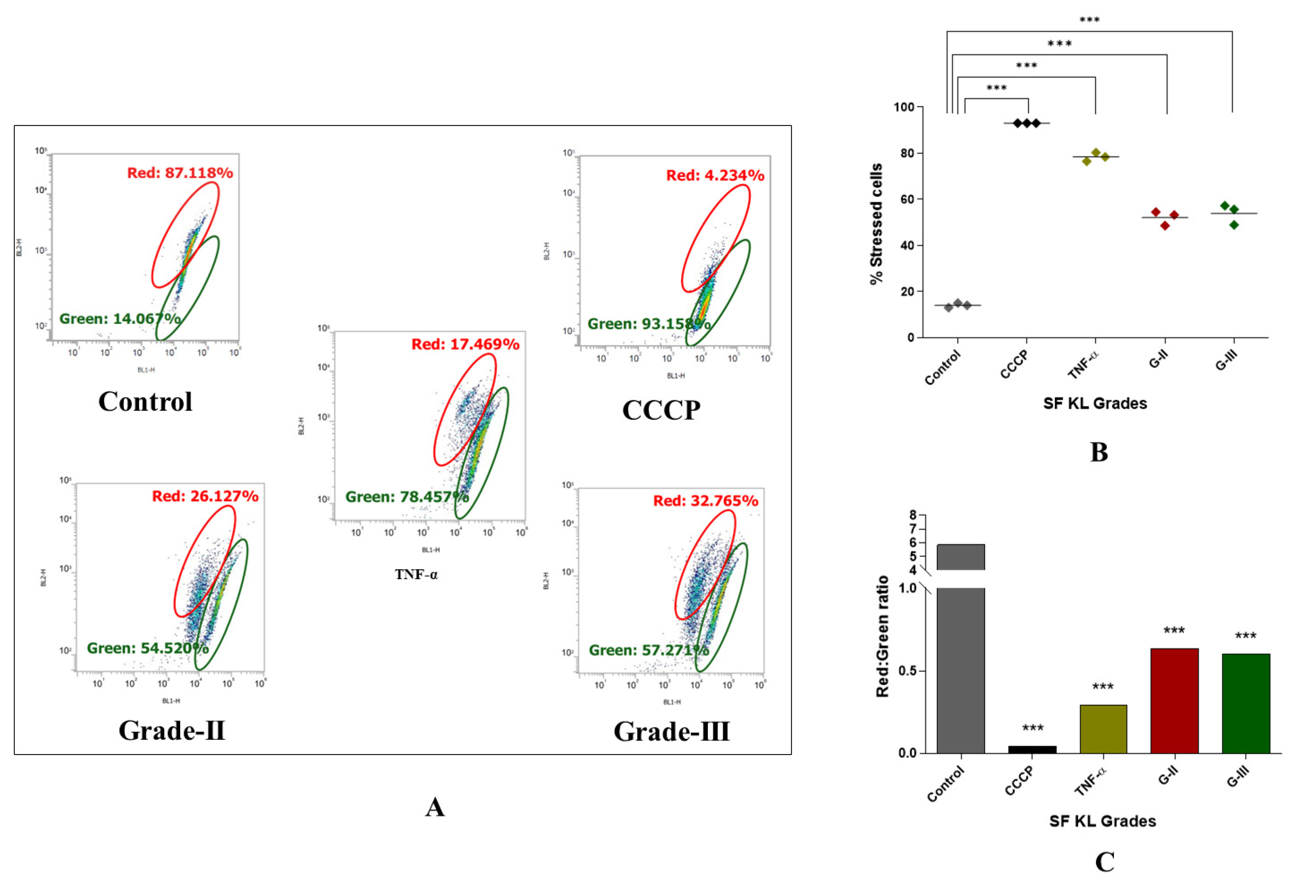 Biomedicines 13 00878 g006