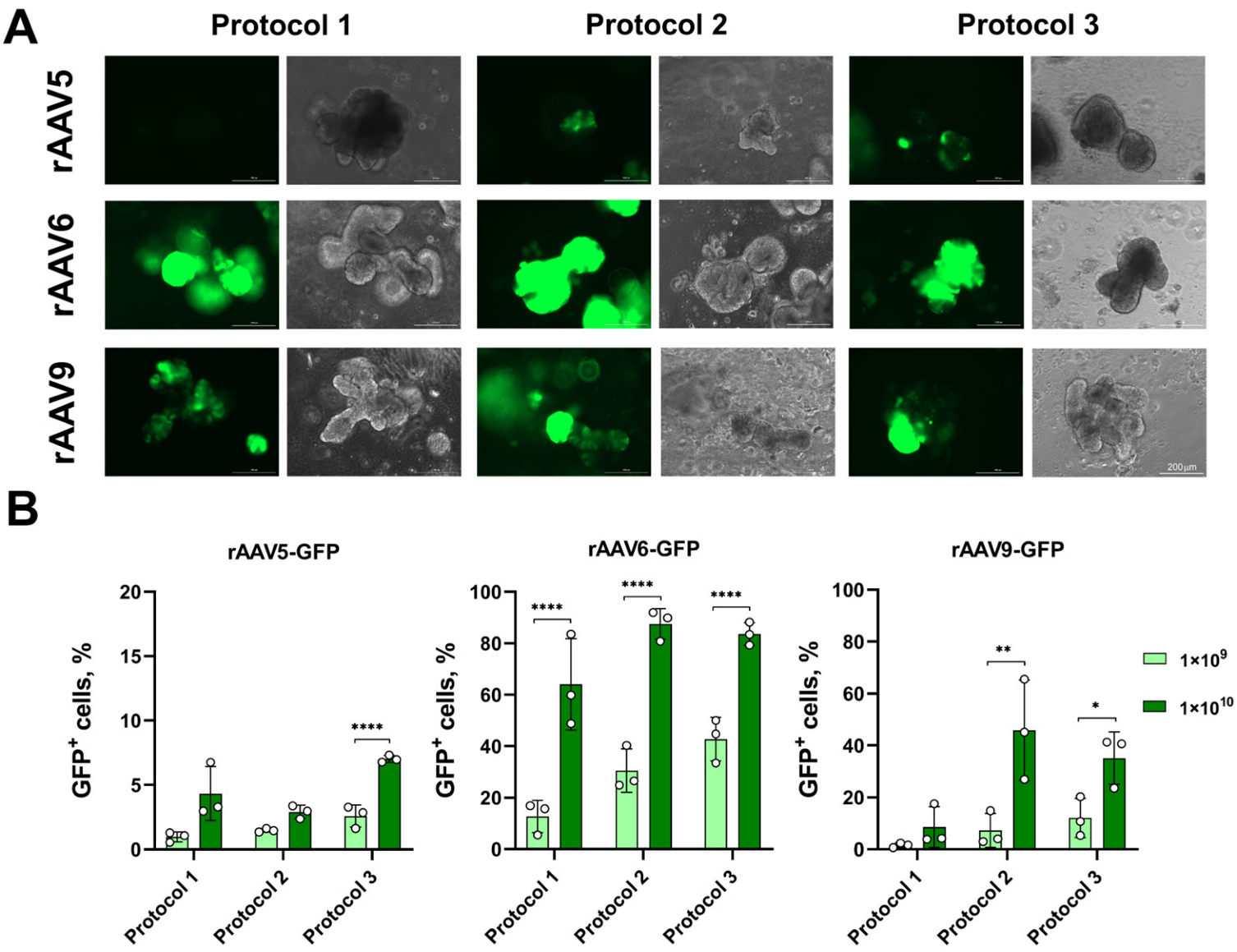 Biomedicines 13 00879 g003
