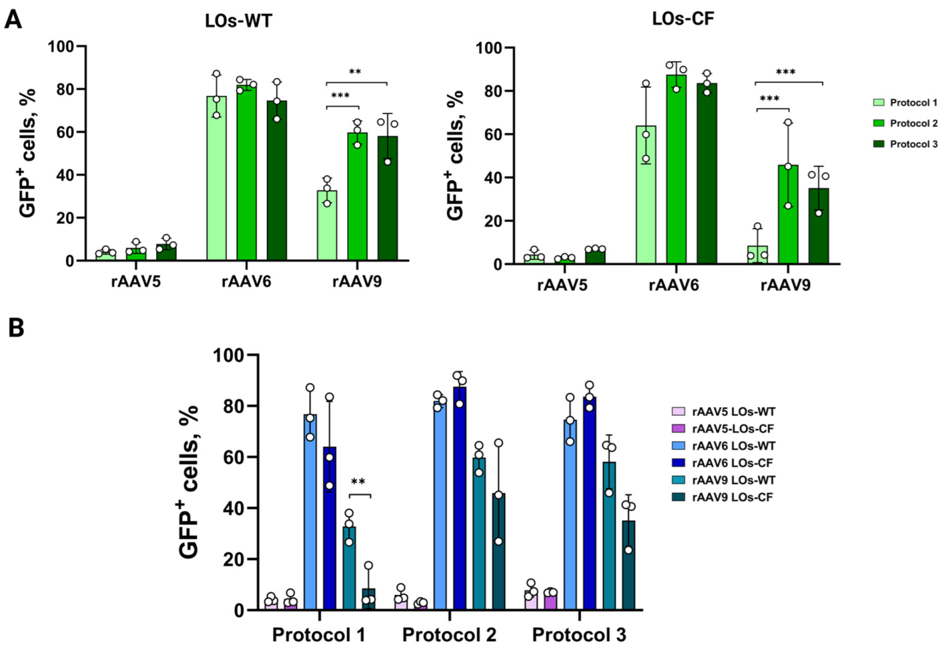 Biomedicines 13 00879 g004