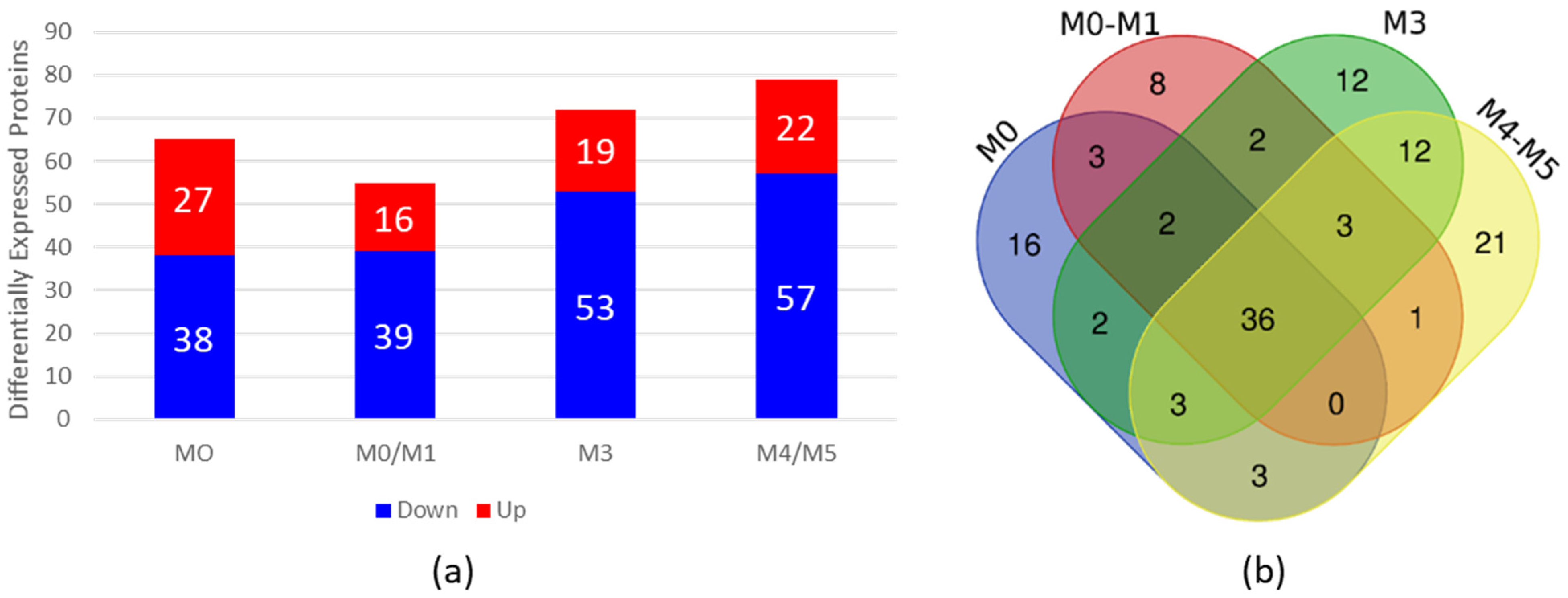 Biomedicines 13 00880 g001