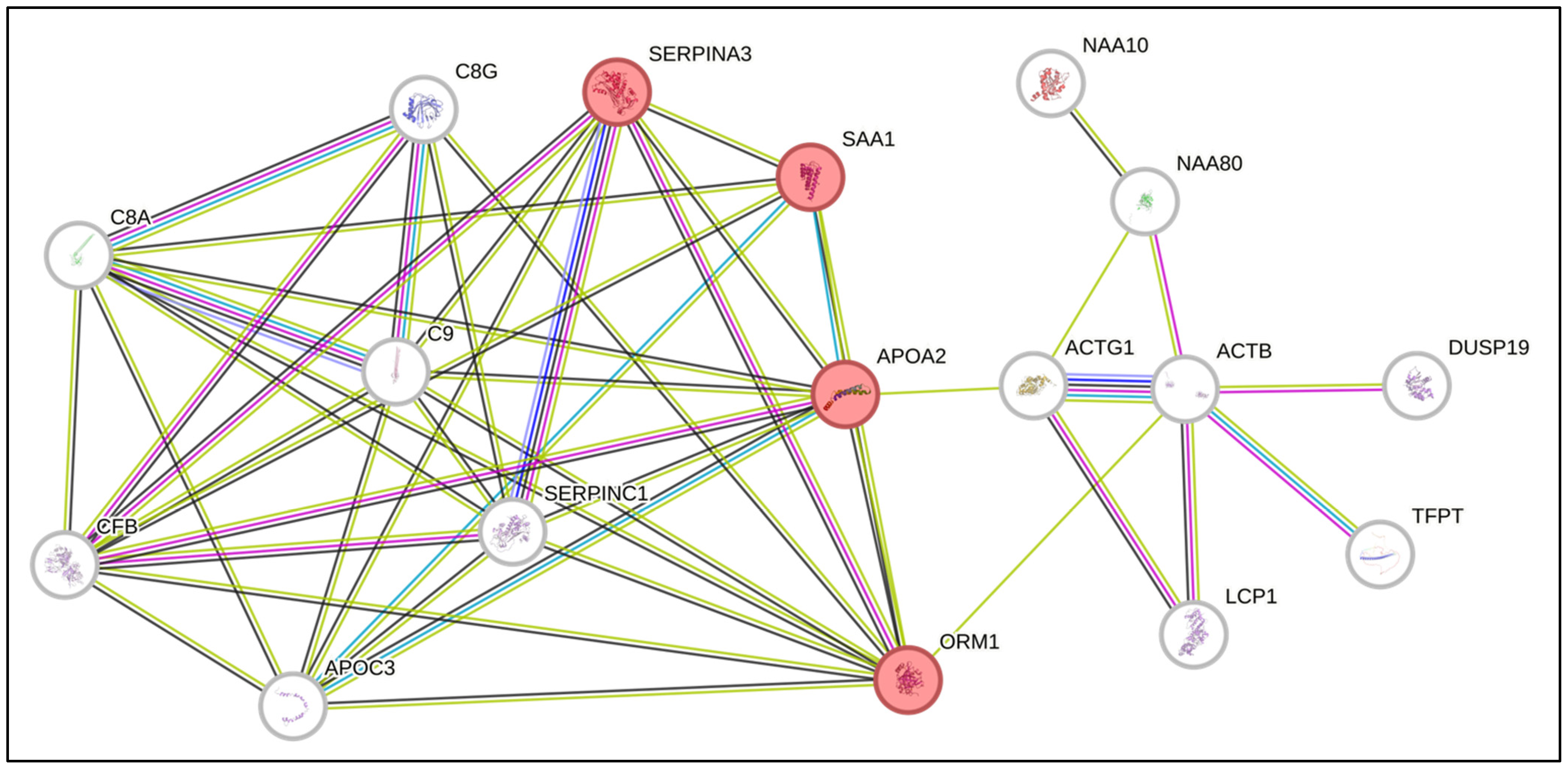 Biomedicines 13 00880 g002